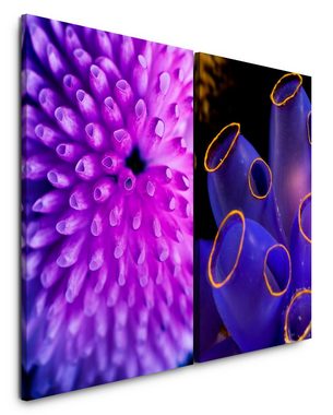 Sinus Art Leinwandbild 2 Bilder je 60x90cm Korallen Korallenriff Unterwasser Violett Aquarium Blau Makrofotografie