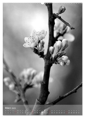 CALVENDO Wandkalender Monochrome Blüten - In Schwarz-Weiß Bildern durch das Jahr (Premium, hochwertiger DIN A2 Wandkalender 2023, Kunstdruck in Hochglanz)