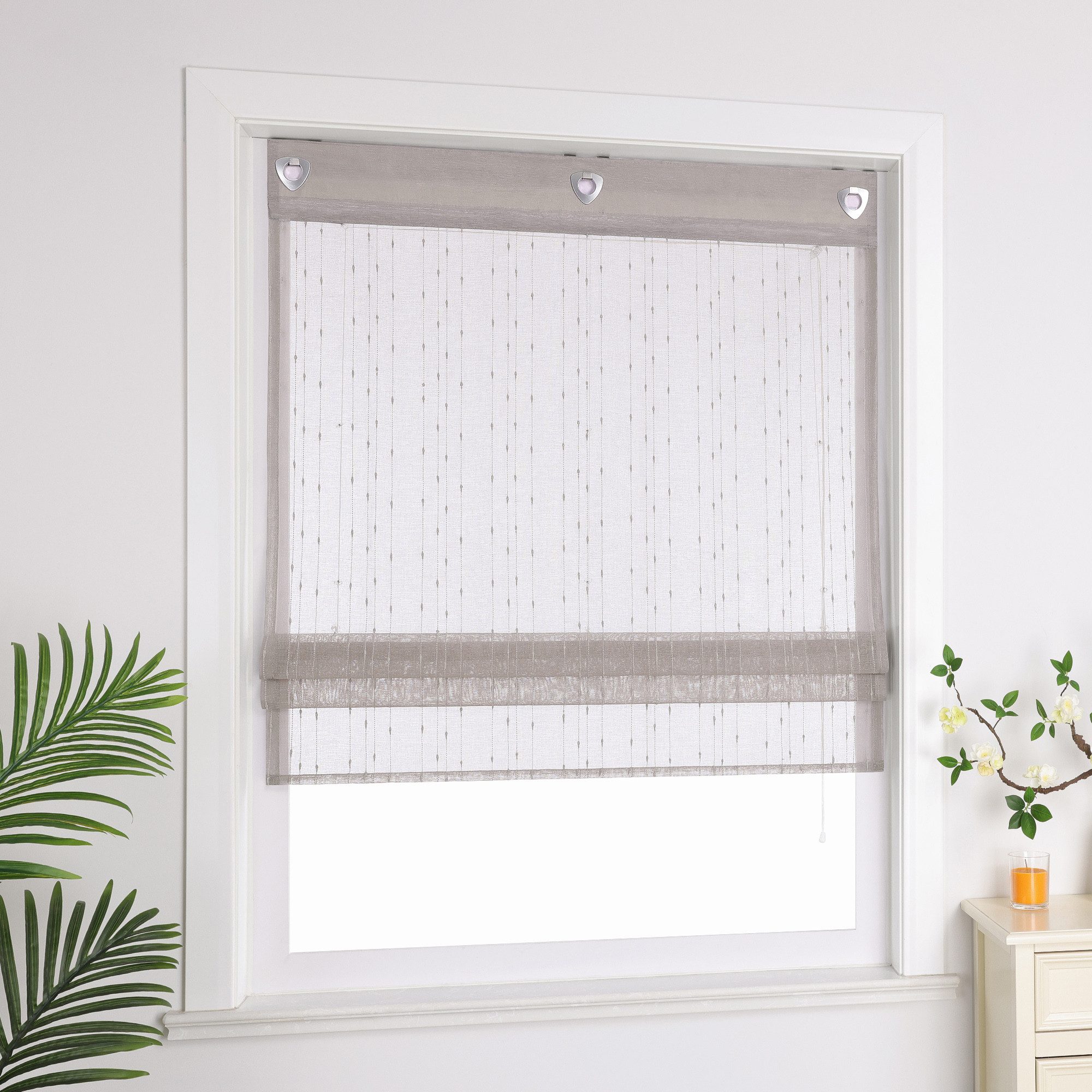 Delien Raffrollo Ursel, mit Hakenaufhängung, Voile Ösenrollo mit schönen Lä günstig online kaufen