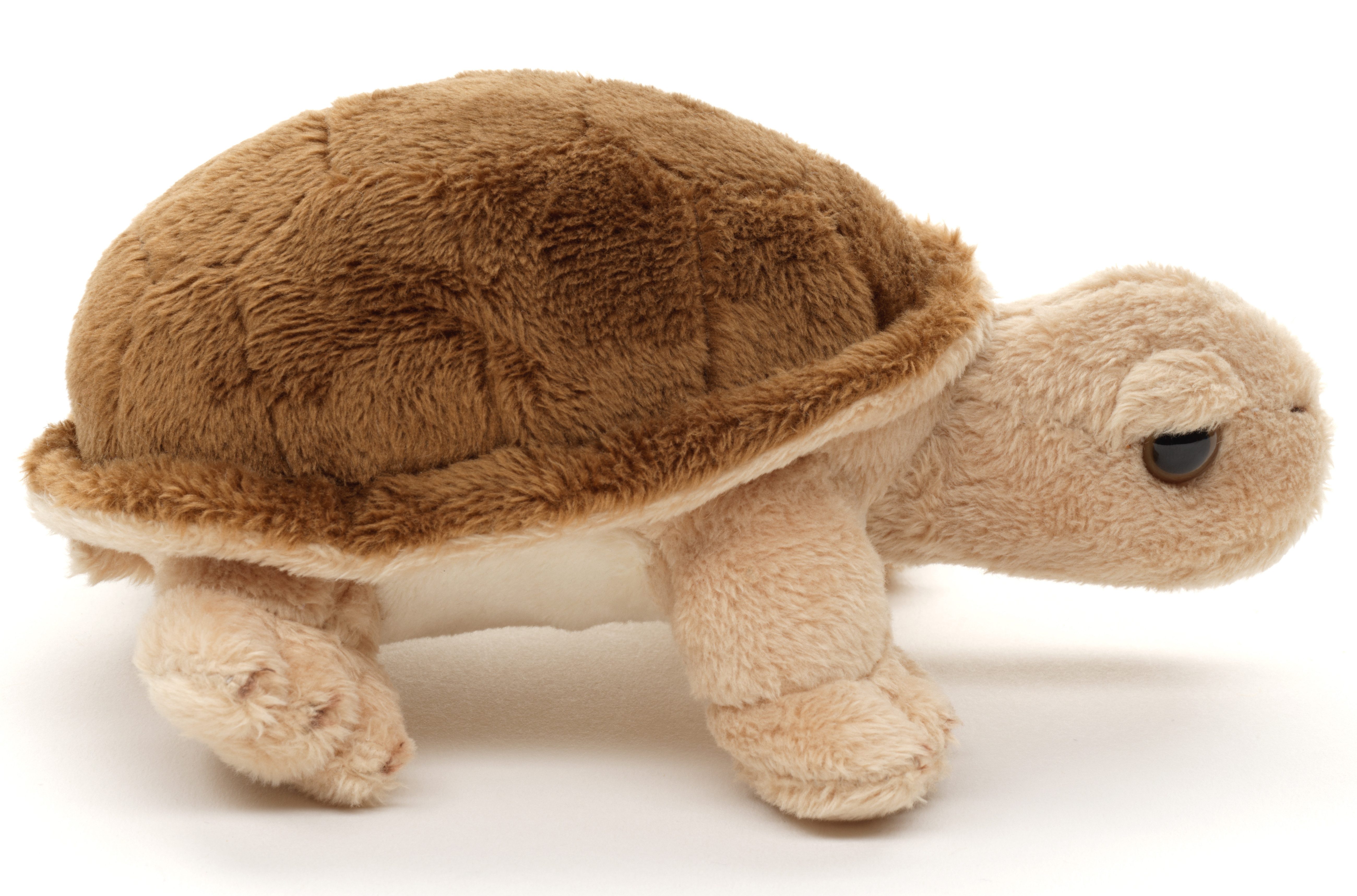 Uni-Toys Kuscheltier Landschildkröte - Verschied. Modelle - Plüsch-Schildkr günstig online kaufen