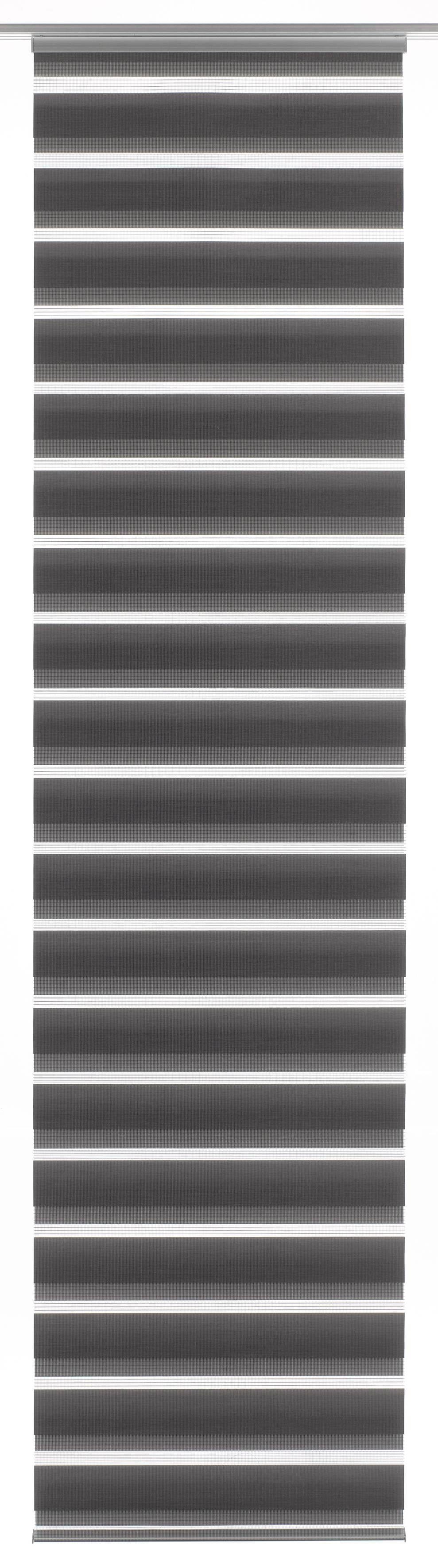 GARDINIA Schiebegardine Flächenvorhang Day+Night (1 St), Paneelwagen, blick günstig online kaufen