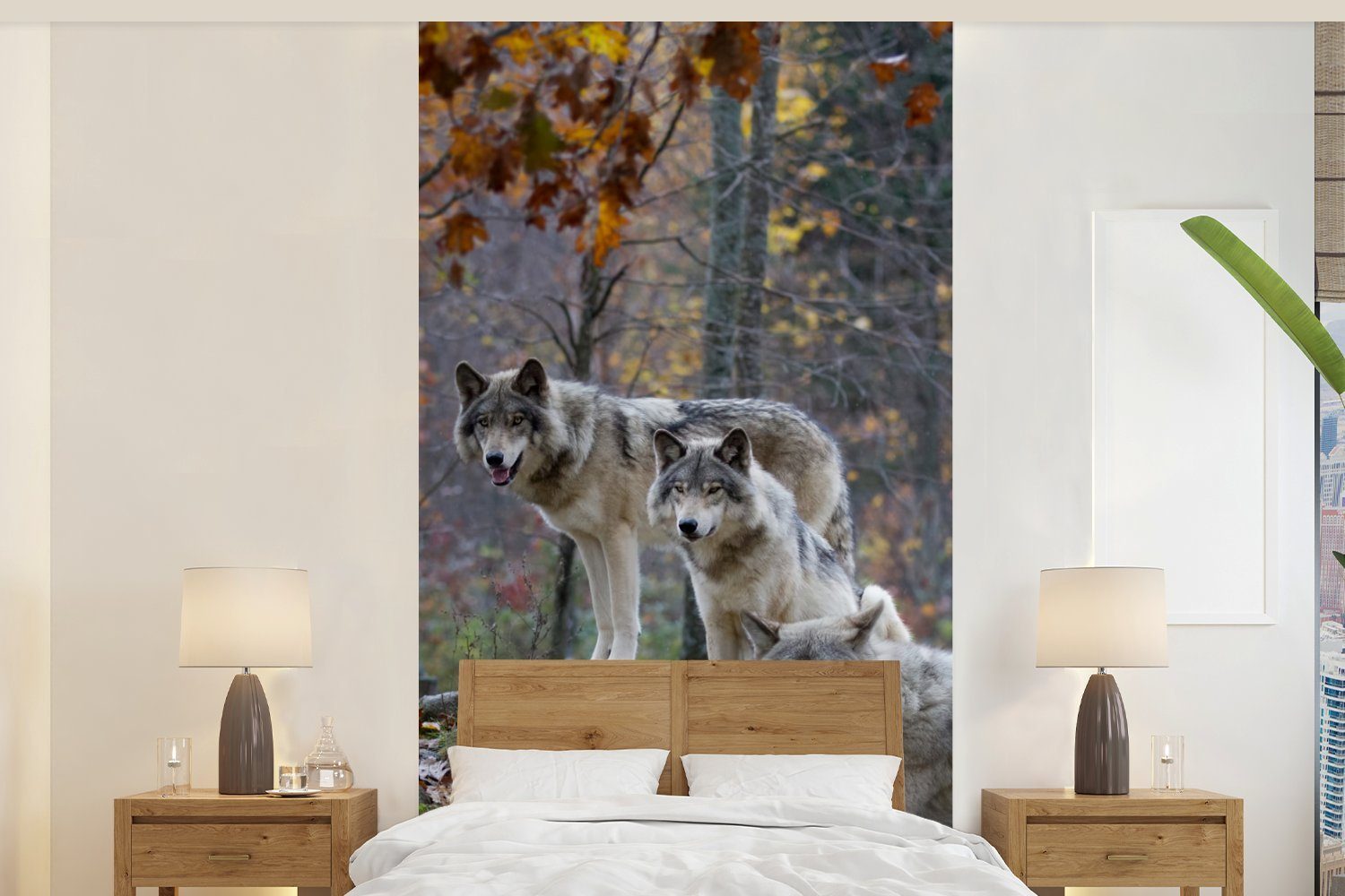bedruckt, Schlafzimmer Fototapete - Küche, (2 Fels Wald, Wohnzimmer St), Fototapete Wölfe Matt, MuchoWow für Vliestapete -