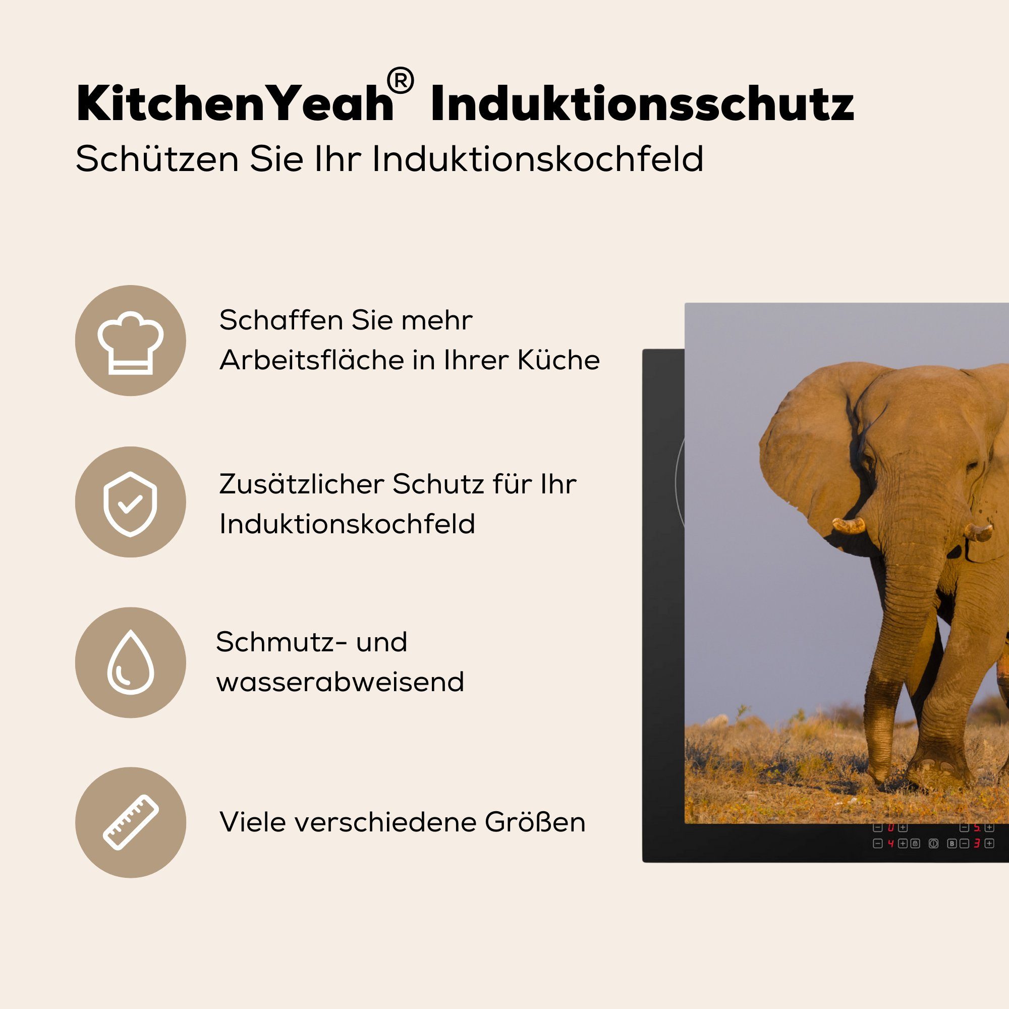 Arbeitsplatte küche 78x78 Ceranfeldabdeckung, cm, tlg), Tier Elefant MuchoWow Gras, Herdblende-/Abdeckplatte - - Vinyl, (1 für