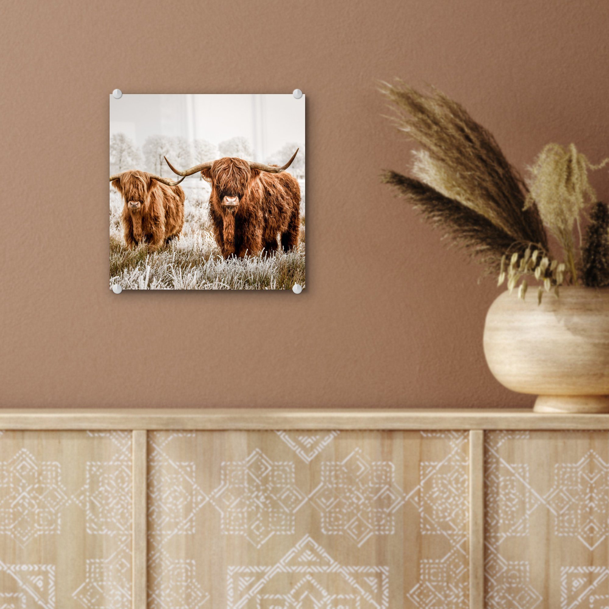 Schottischer bunt St), Acrylglasbild Kuh Foto Tiere, Wanddekoration Glas (1 Wandbild Bilder - auf - Glasbilder - Glas - - MuchoWow Highlander auf