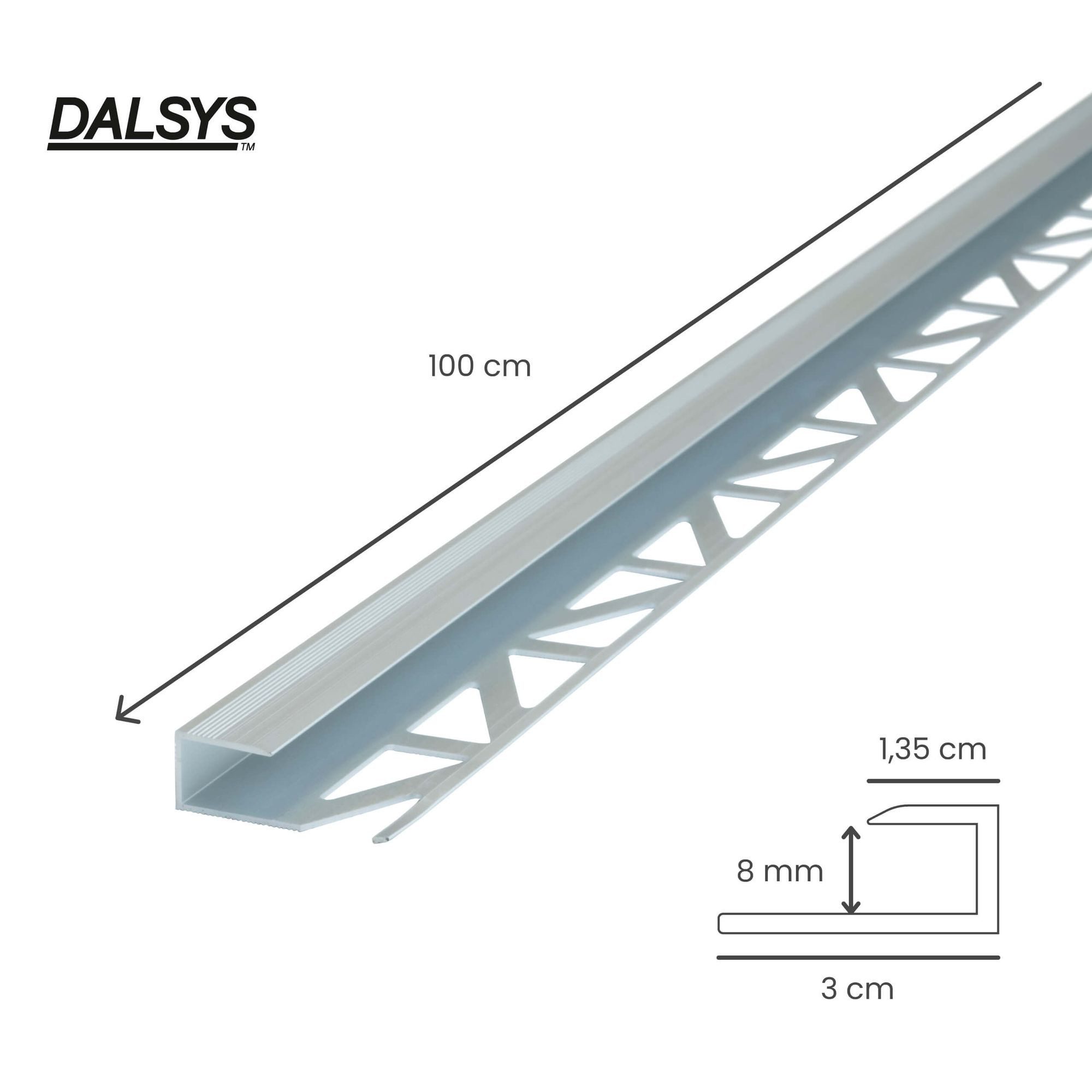 Dalsys Übergangsprofil Abschlussprofil aus Aluminium (100 cm, Silber, 1-St), Für 8 mm Belagsstärke, zum Einfliesen – Bild 2 von 5