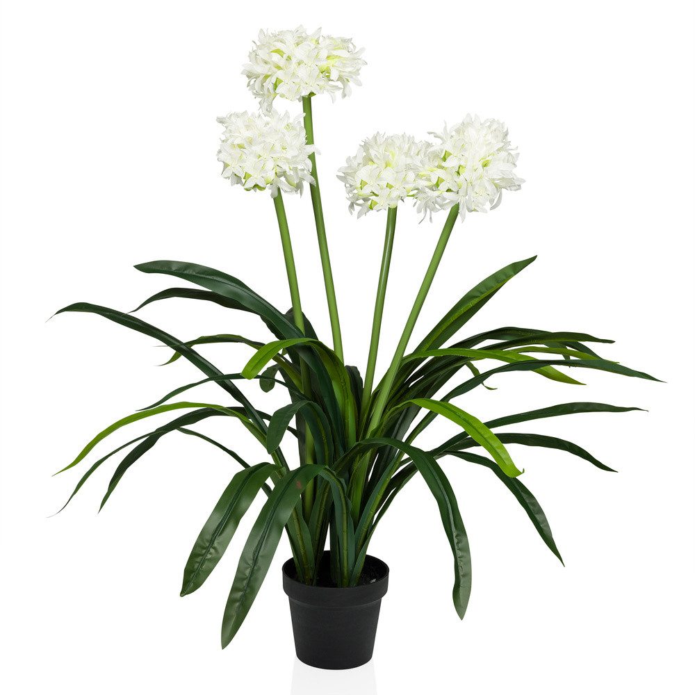 Kunstpflanze Kunstpflanze AGAPANTHUS Kunststoff Lilie, hjh günstig online kaufen