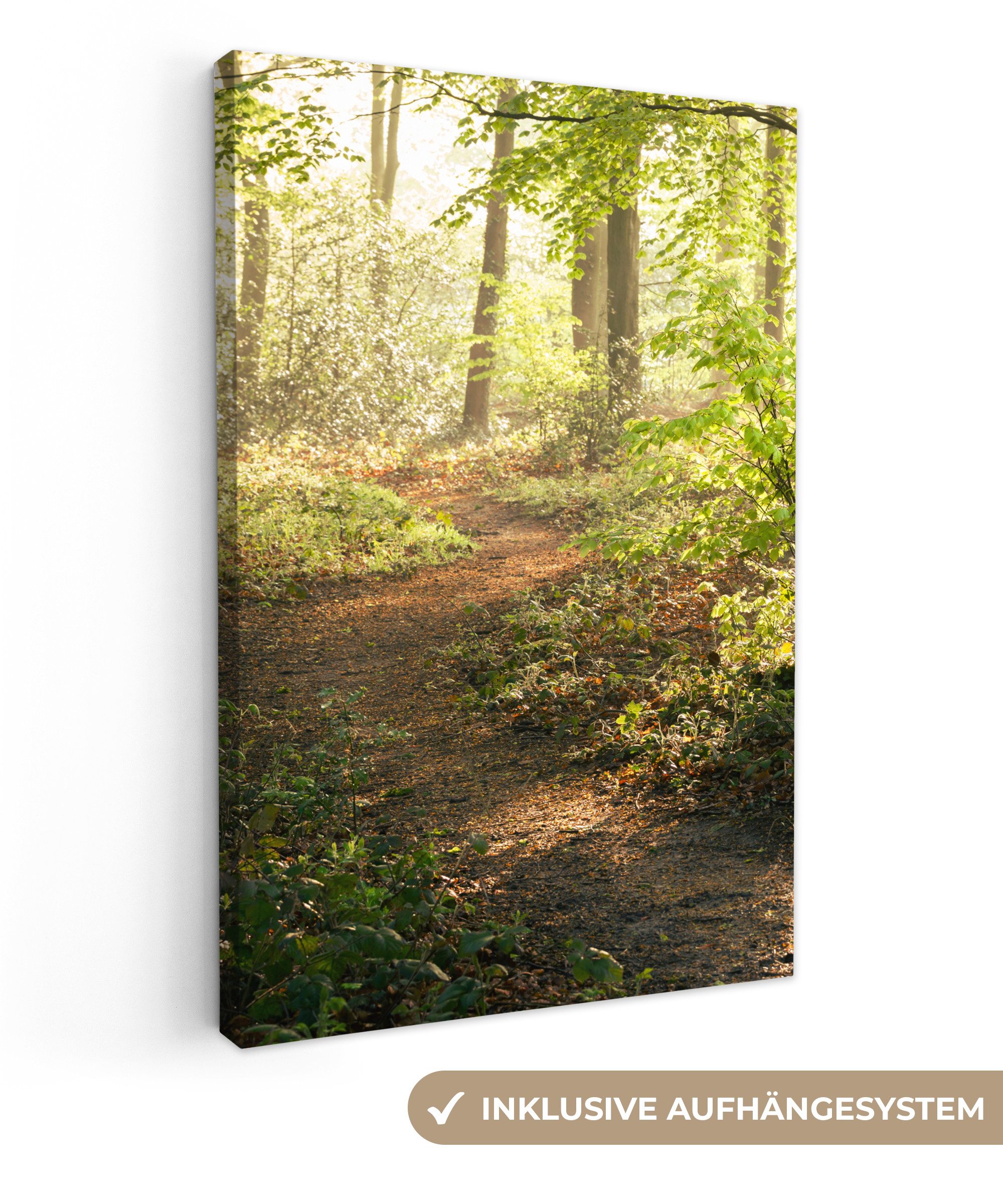 OneMillionCanvasses® Leinwandbild Wald - Bäume - Weg - Sonne - Pflanzen - Laub - Natur, Fotodruck (1 St), Leinwand Canvas Wandbild, Wanddekoration 20x30 cm