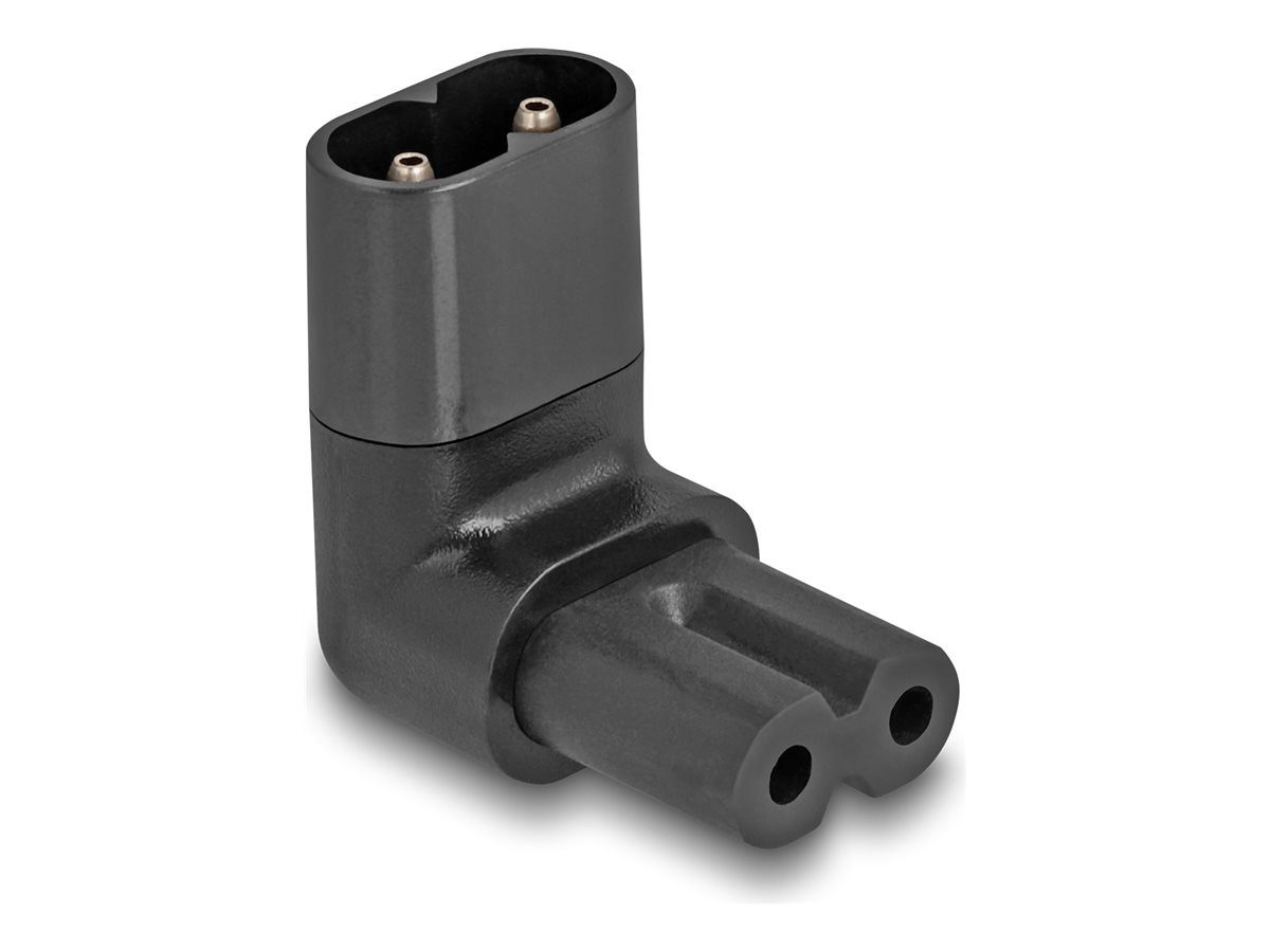 Delock Adapter