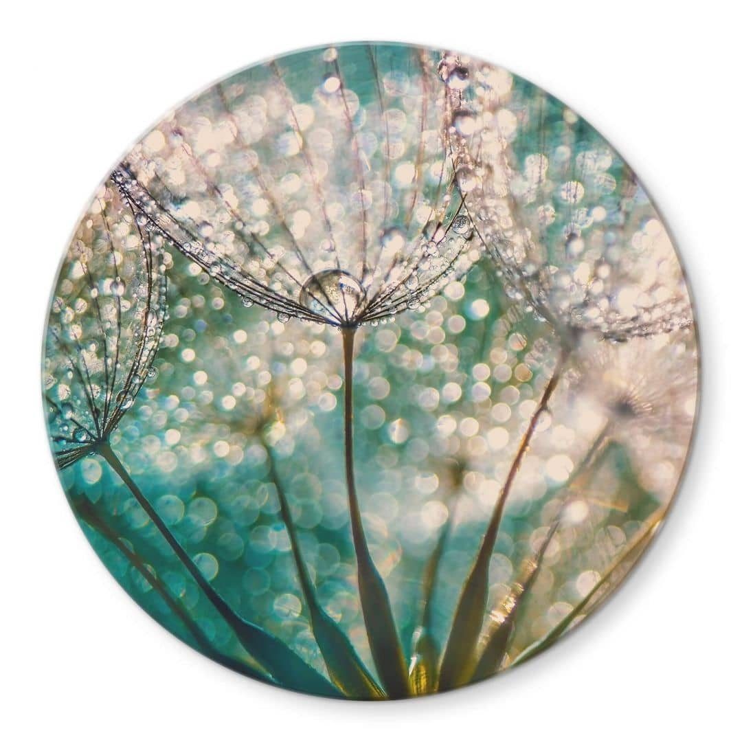 Gemälde Glas Wandbild Rund Glasbild Delgado Foto funkelnde Pusteblume