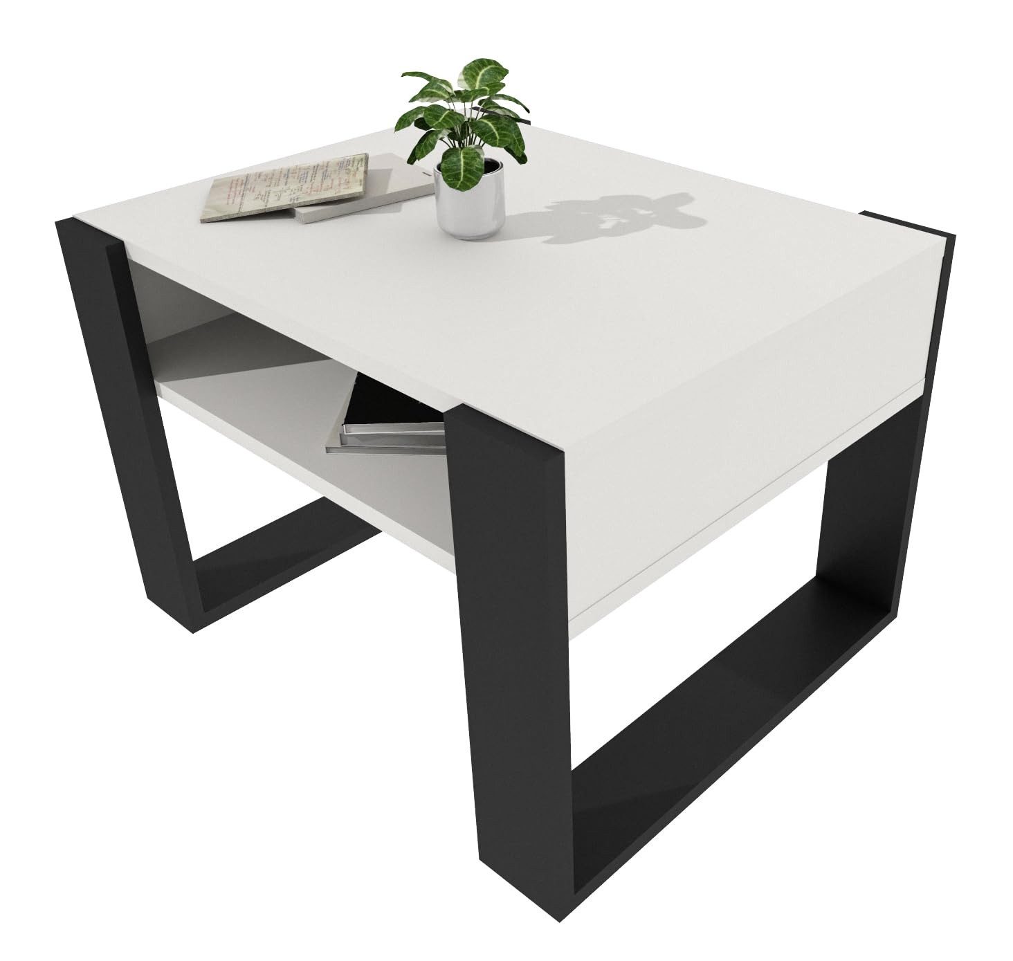 TREND WERK Couchtisch mit zusätzlicher Ablagefläche (65×53,6×45 cm - Wohnzimmertisch, Loft-Design, Ablagefach)