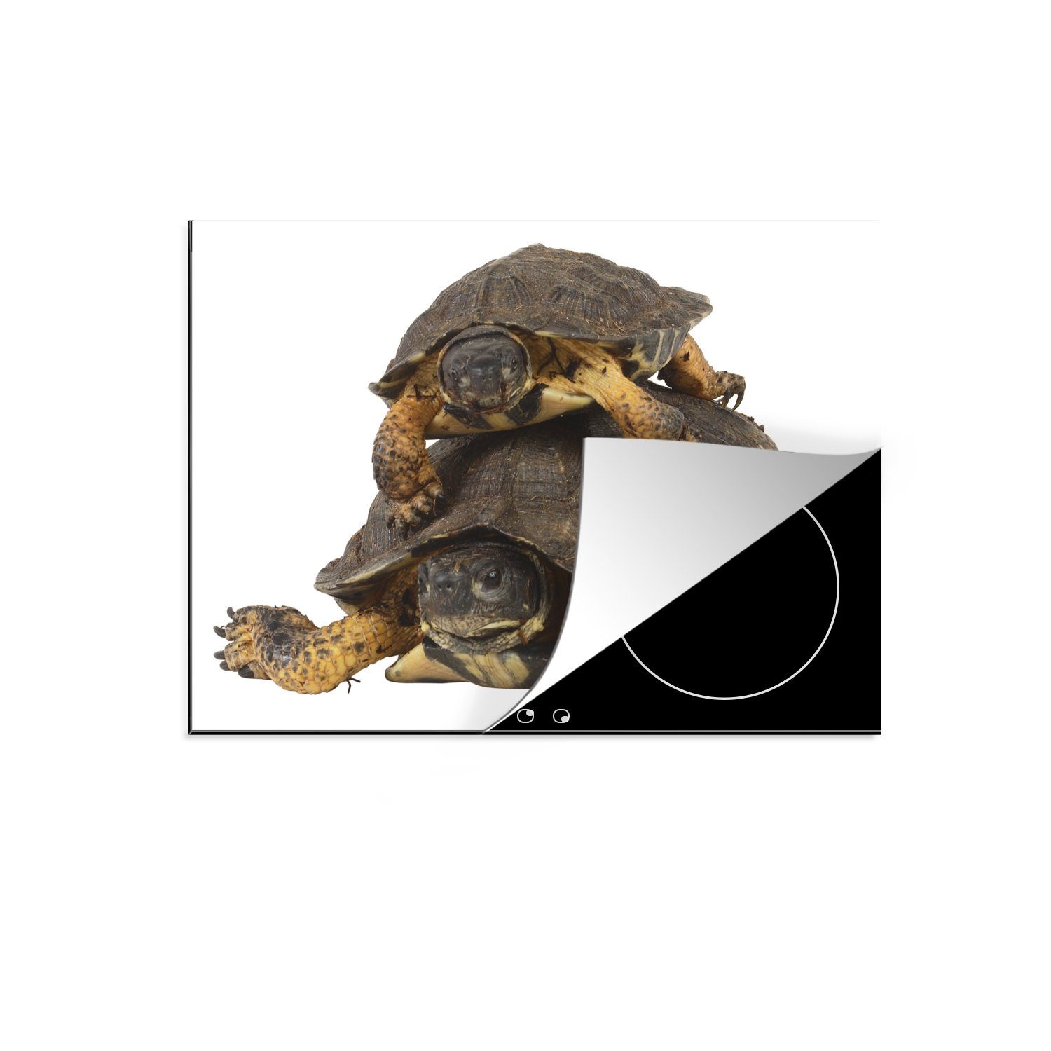 MuchoWow Herdblende-/Abdeckplatte Mutterschildkröte mit ihrem Kind, Vinyl, (1 tlg), 70x52 cm, Mobile Arbeitsfläche nutzbar, Ceranfeldabdeckung