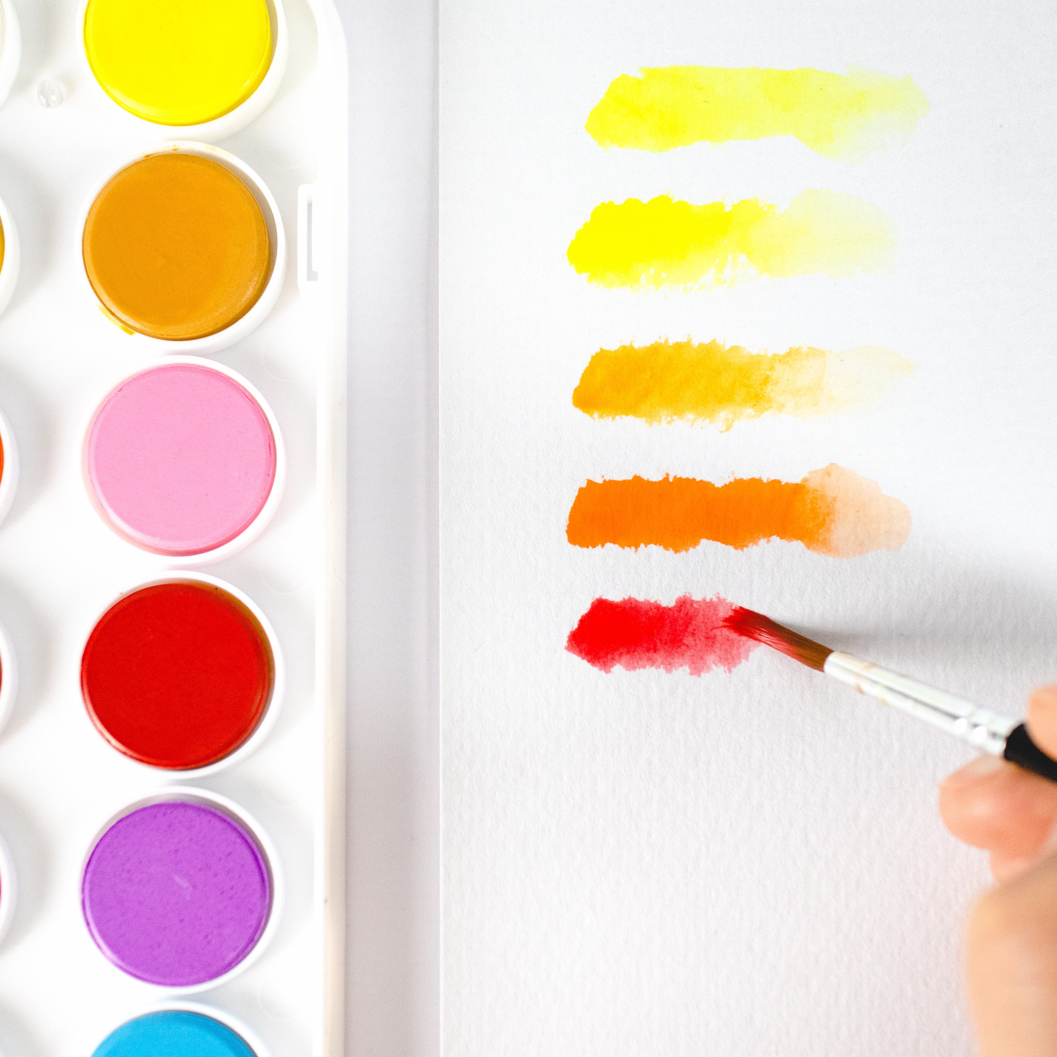 Mont Marte Aquarellfarbe Wasserfarben Set – 16 / 24 / 36 brillante Farben mit 1 Pinsel, Hoch pigmentiert, leicht mischbar – für Einsteiger & kreative Projekte