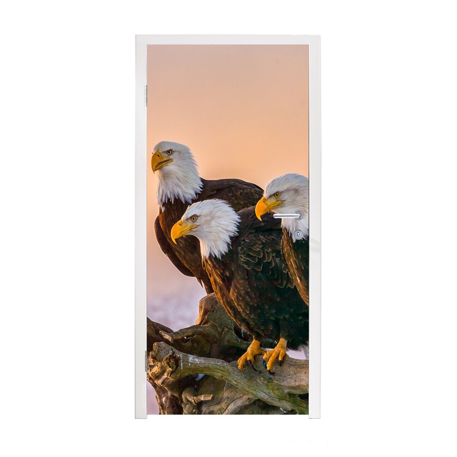 MuchoWow Türtapete Vögel - Natur - Raubvögel - Adler, Matt, bedruckt, (1 St), Fototapete für Tür, Türaufkleber, 75x205 cm