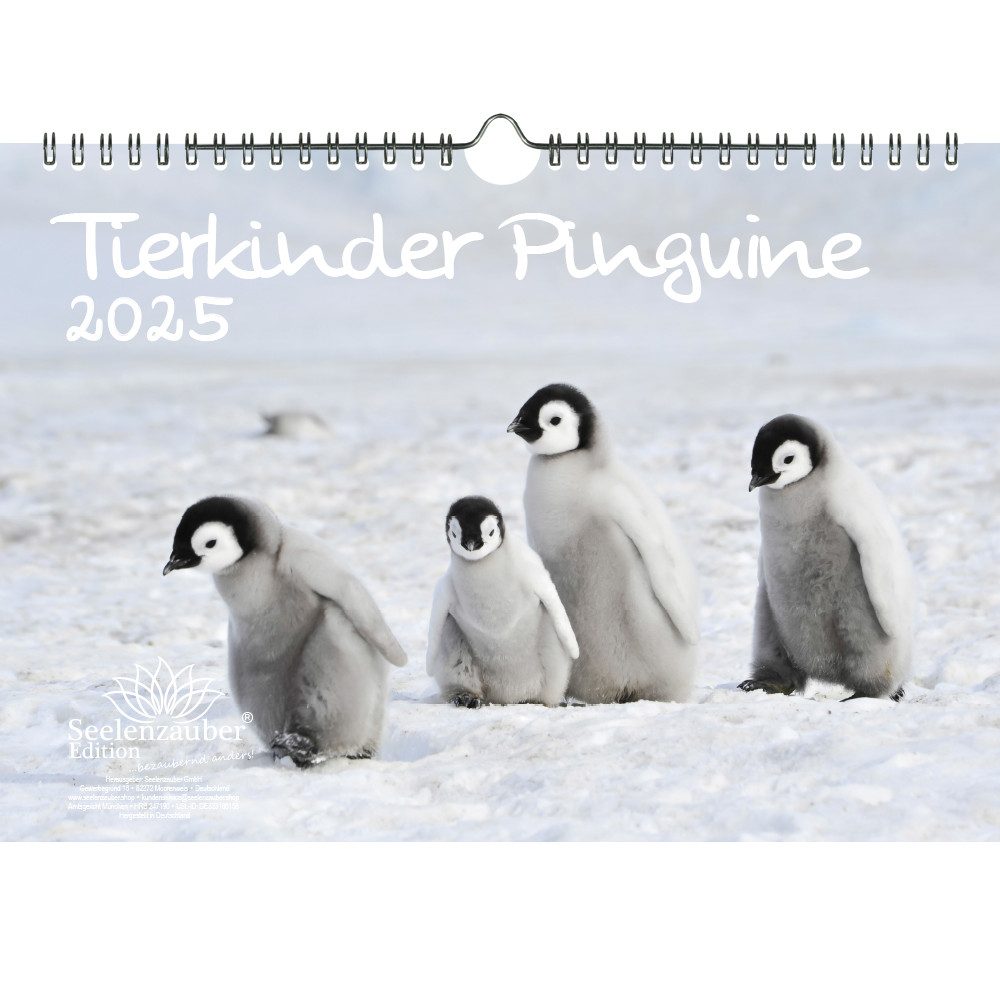Seelenzauber Wandkalender Tierkinder Pinguine DIN A4 Kalender für 2025 Pinguin