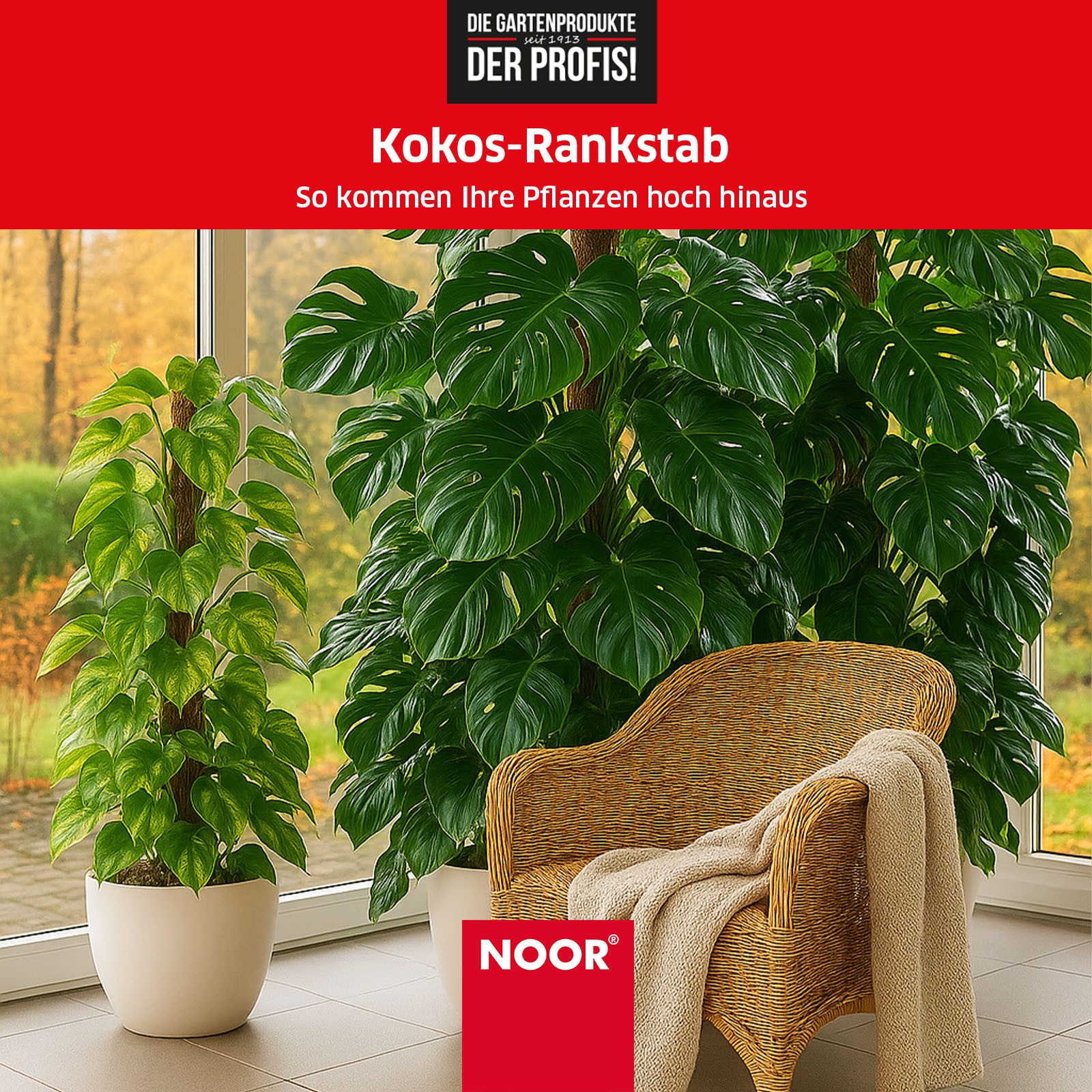 NOOR Rankhilfe Kokos-Rankstab mit Holzstiel - verlängerbar - ideale Wachstu günstig online kaufen