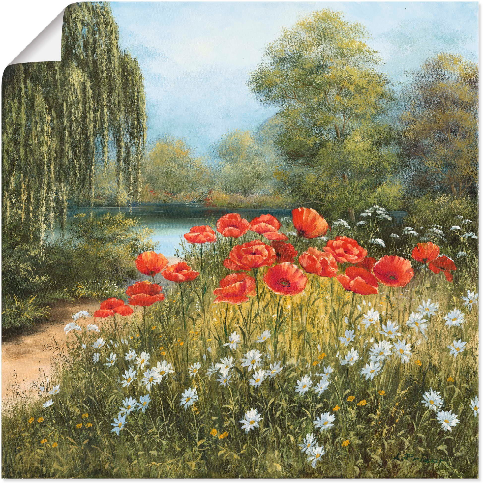 Artland Wandbild Mohnwiese am See, Blumenwiese günstig online kaufen