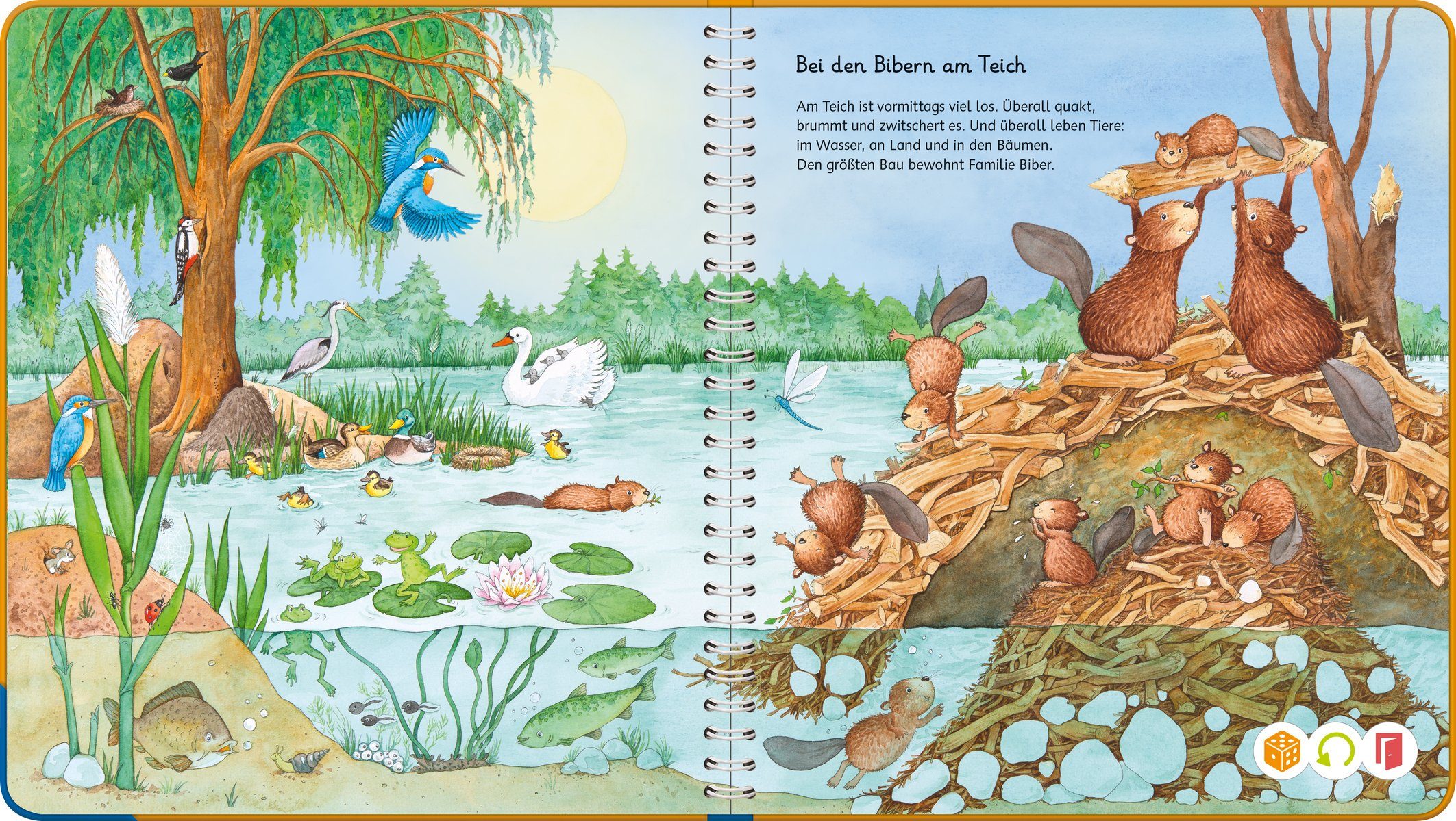 Ravensburger Kinderbuch tiptoi® Mein Wörter-Bilderbuch Tiere, Made in Europe