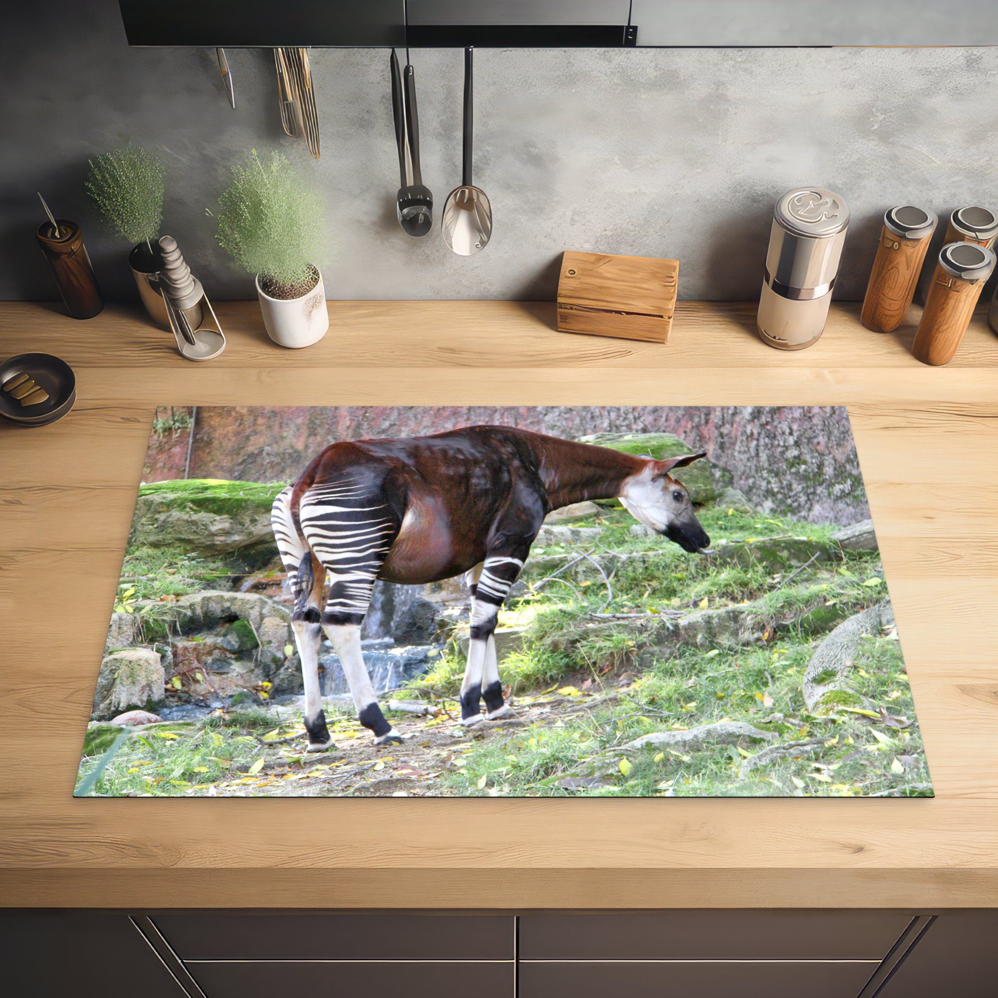 MuchoWow Herdblende-/Abdeckplatte Okapi in freier die küche, Vinyl, Wildbahn, Induktionskochfeld (1 81x52 Schutz cm, für tlg), Ceranfeldabdeckung