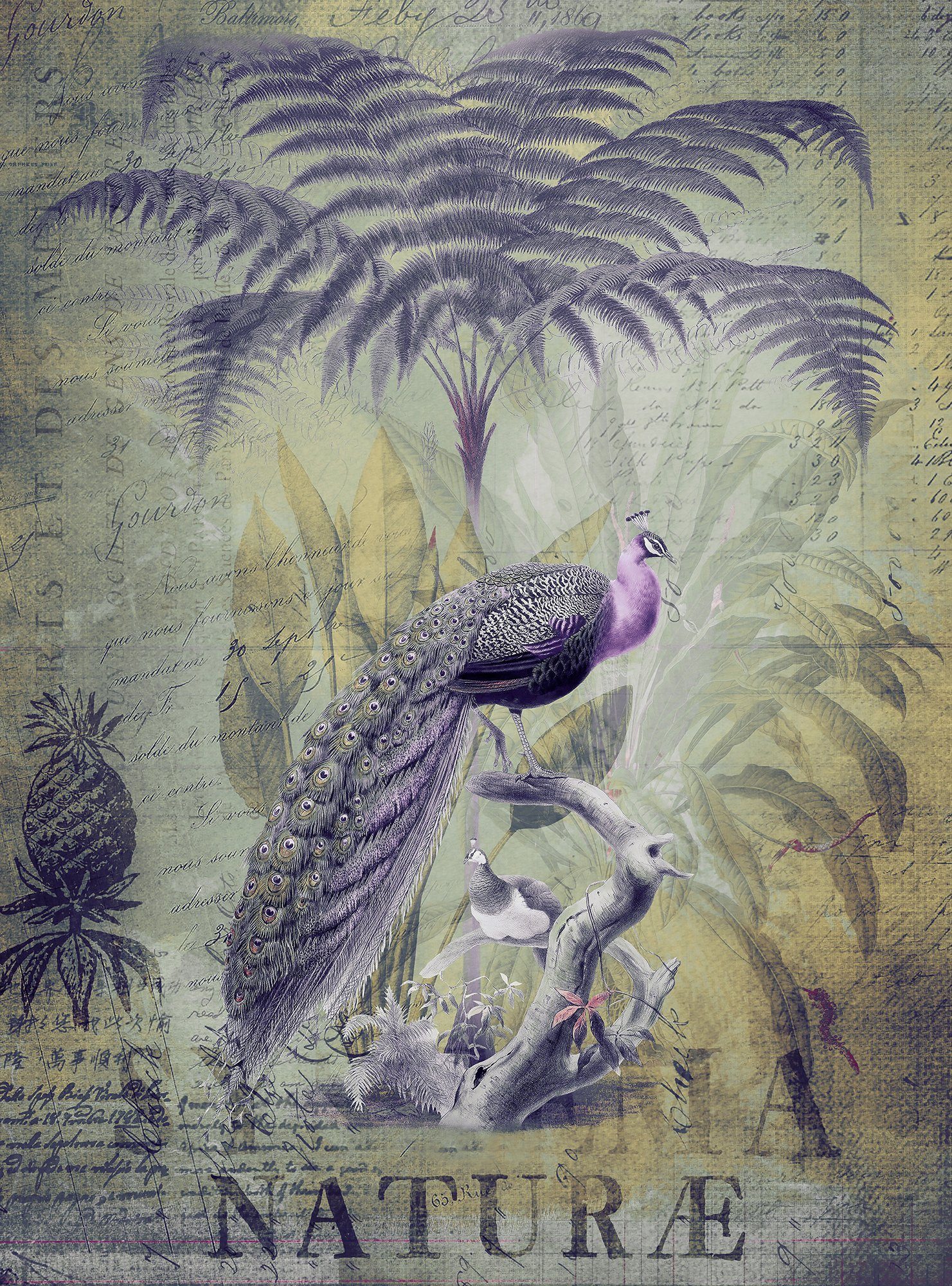 living walls Fototapete ARTist Peacock Jungle, (Set, 2 St), Vlies, Wand, Schräge