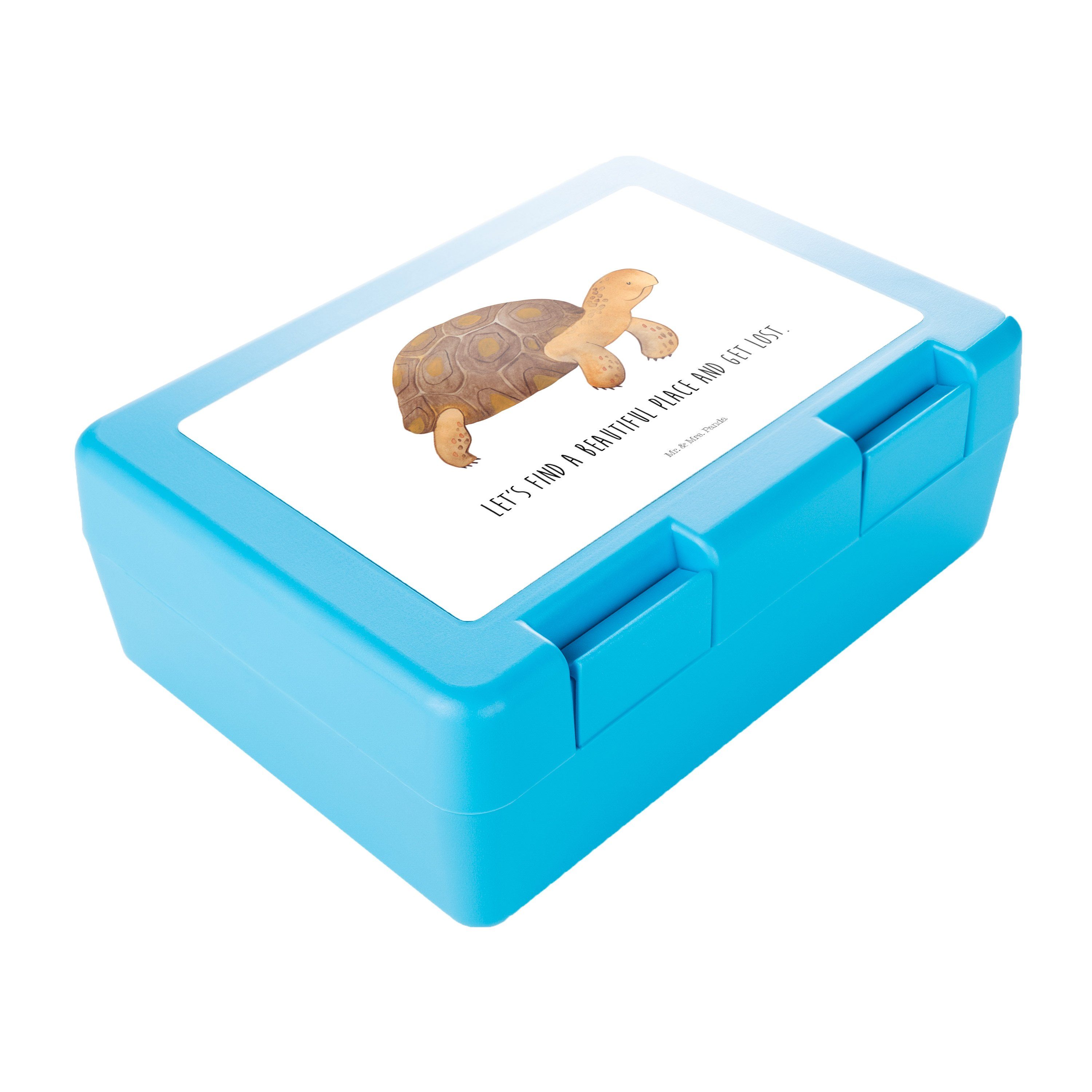 - Butterdose - Snackbox, Mr. Meer, (1-tlg) Premium & Geschenk, Mrs. Weiß B, Schildkröte marschiert Neustart, Kunststoff, Panda