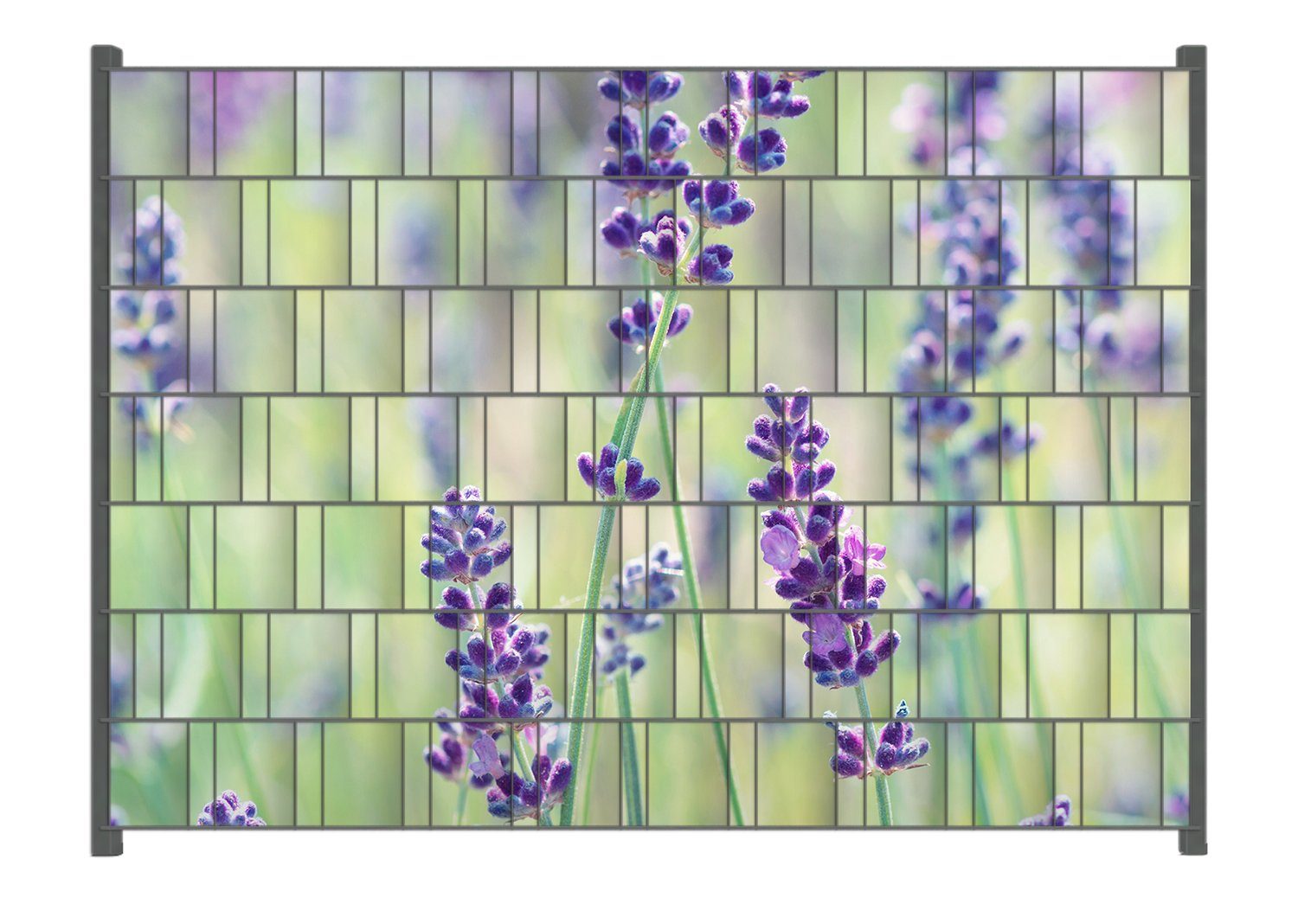Wallario Sichtschutzstreifen Lila Blumenfreude - Violette günstig online kaufen