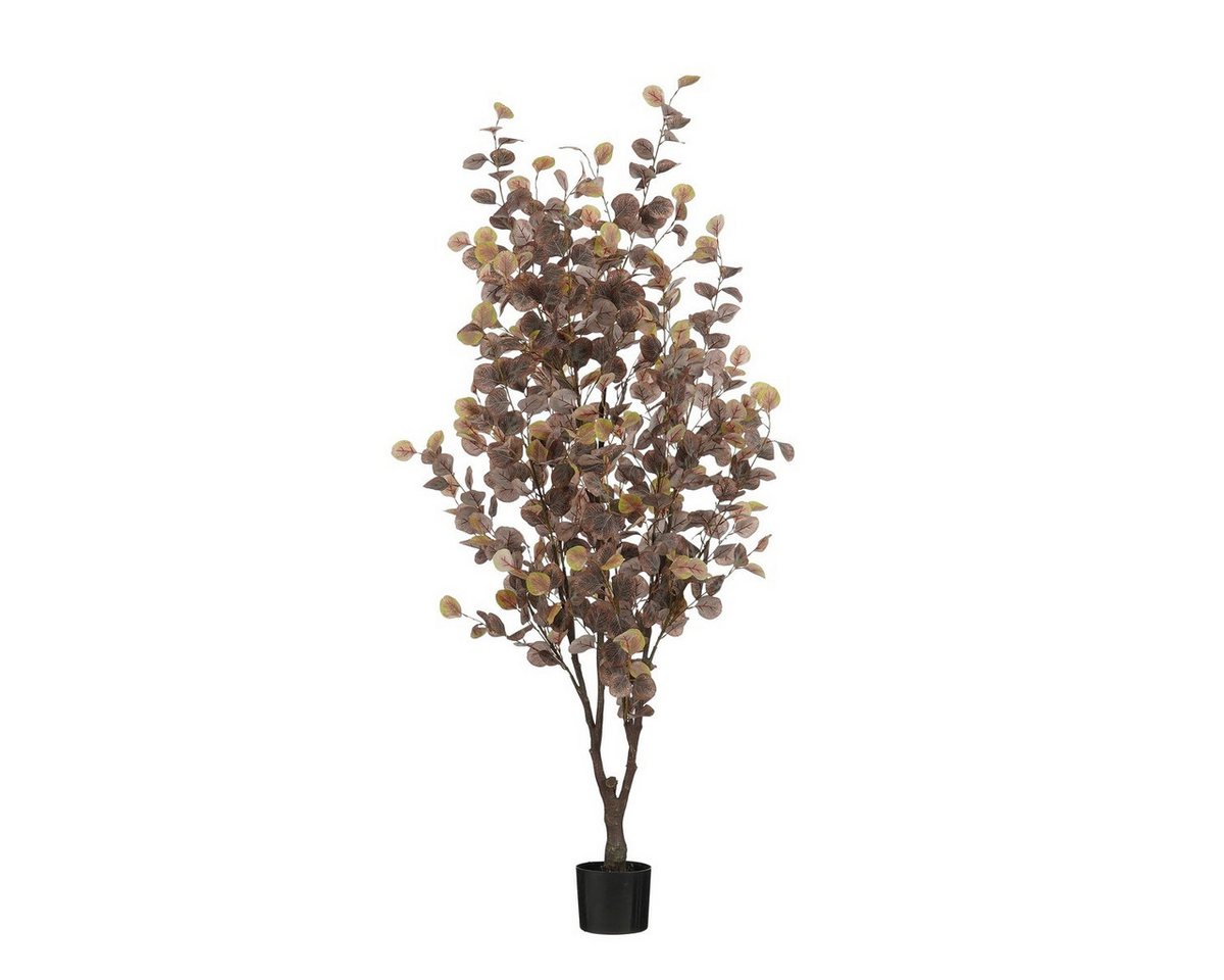 Kunstpflanze Mica Decorations Eucalyptus Baum In Topf bronze - h180xd80cm, Mica Decorations, Höhe 180 cm