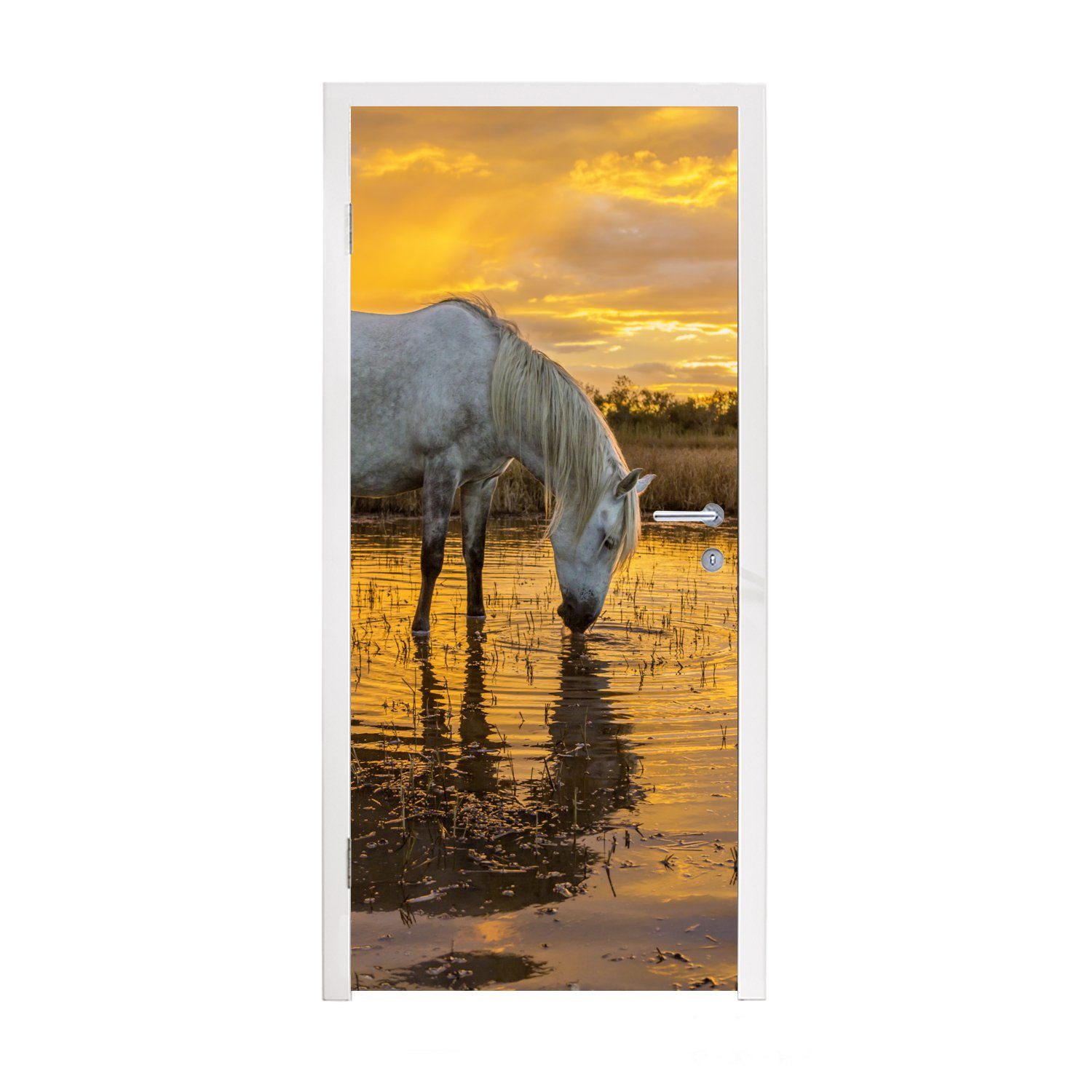 MuchoWow Türtapete Pferde trinken bedruckt, Türaufkleber, Matt, Fototapete in Sonnenuntergang der 75x205 (1 bei Tür, St), cm für Camargue