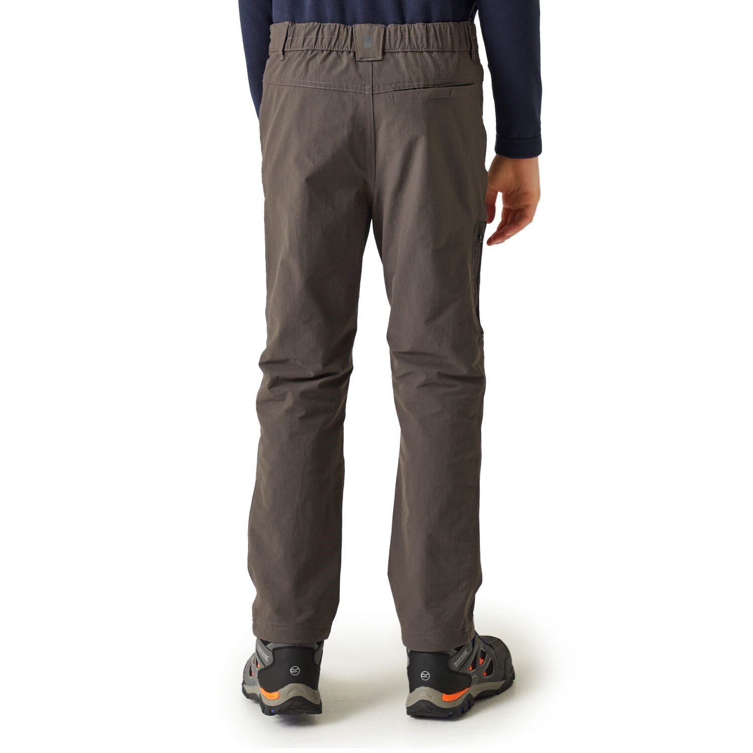 Regatta Softshellhose Winter-Wanderhose Highton (0-tlg)