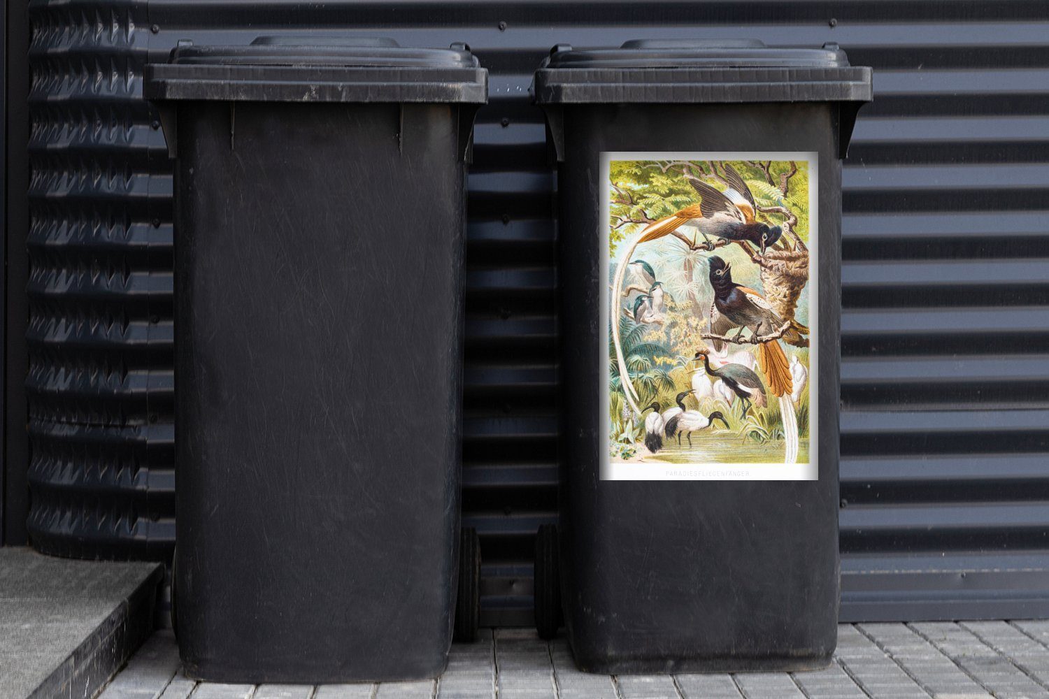 MuchoWow Wandsticker Antike Mülltonne, Abfalbehälter Sticker, Mülleimer-aufkleber, Container, St), Familie Vogeldrucke (1