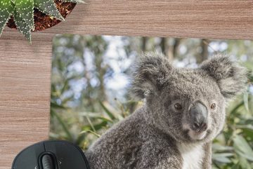 MuchoWow Gaming Mauspad Koala - Regal - Pflanzen - Kinder - Jungen - Mädchen (1-St), Mousepad mit Rutschfester Unterseite, Gaming, 40x40 cm, XXL, Großes