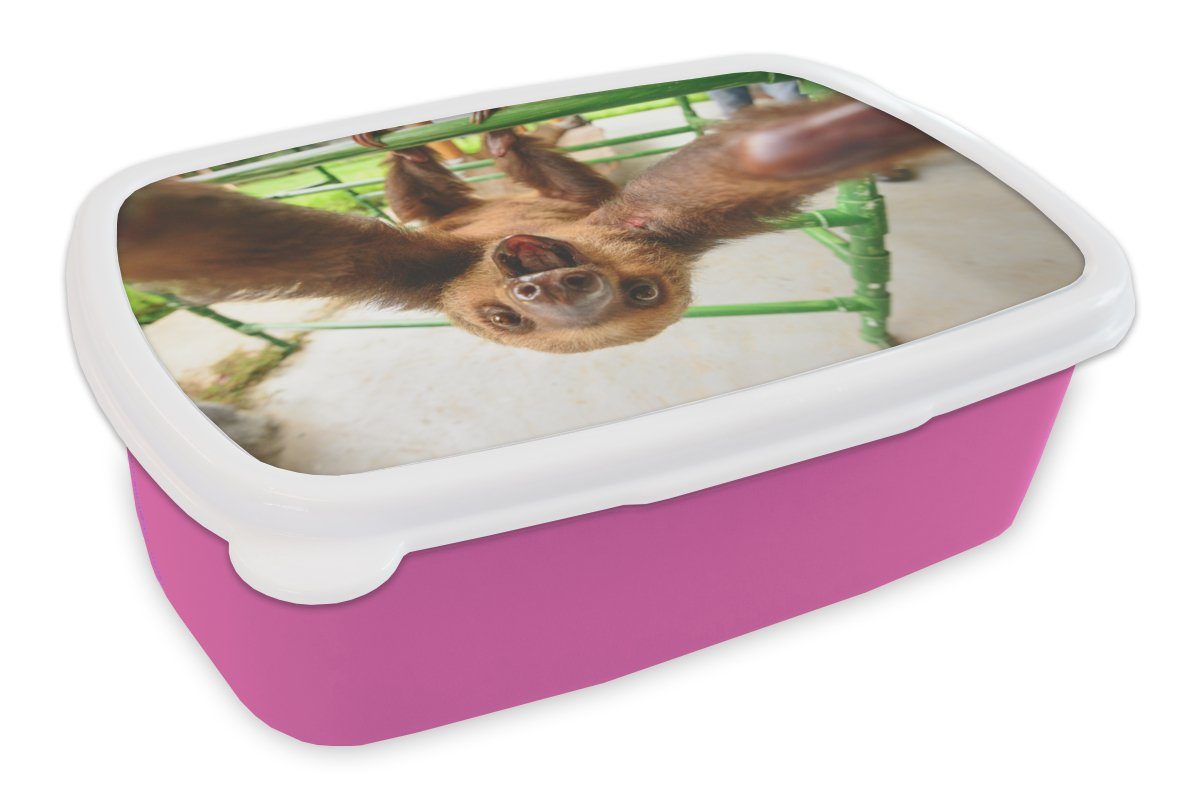 MuchoWow Lunchbox Faultier - Lustig - Klettergerüst - Kinder - Jungen - Mädchen - Kinder, Kunststoff, (2-tlg), Brotbox für Erwachsene, Brotdose Kinder, Snackbox, Mädchen, Kunststoff rosa