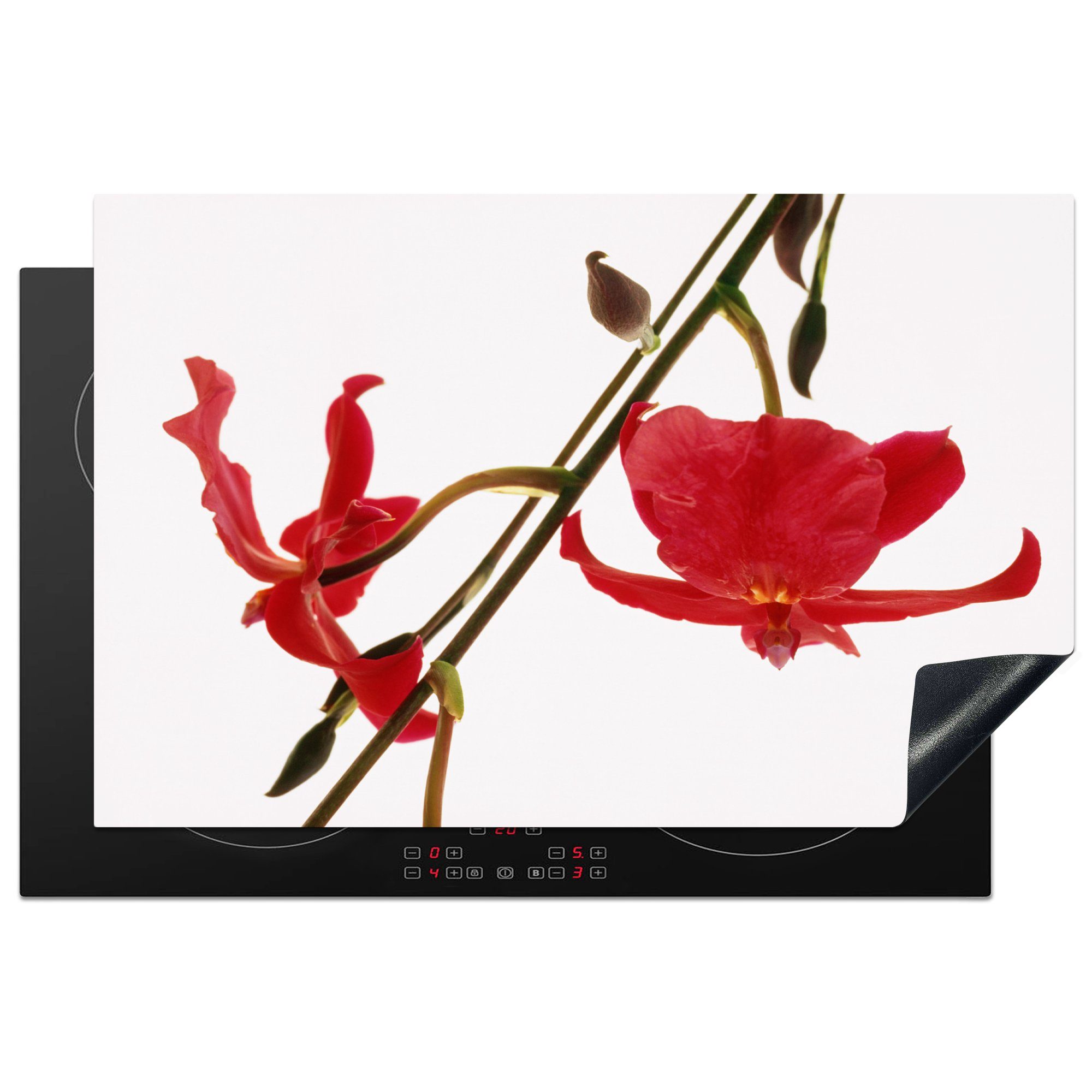 MuchoWow Herdblende-/Abdeckplatte Zwei rote Orchideen vor einem weißen Hintergrund, Vinyl, (1 tlg), 81x52 cm, Induktionskochfeld Schutz für die küche, Ceranfeldabdeckung