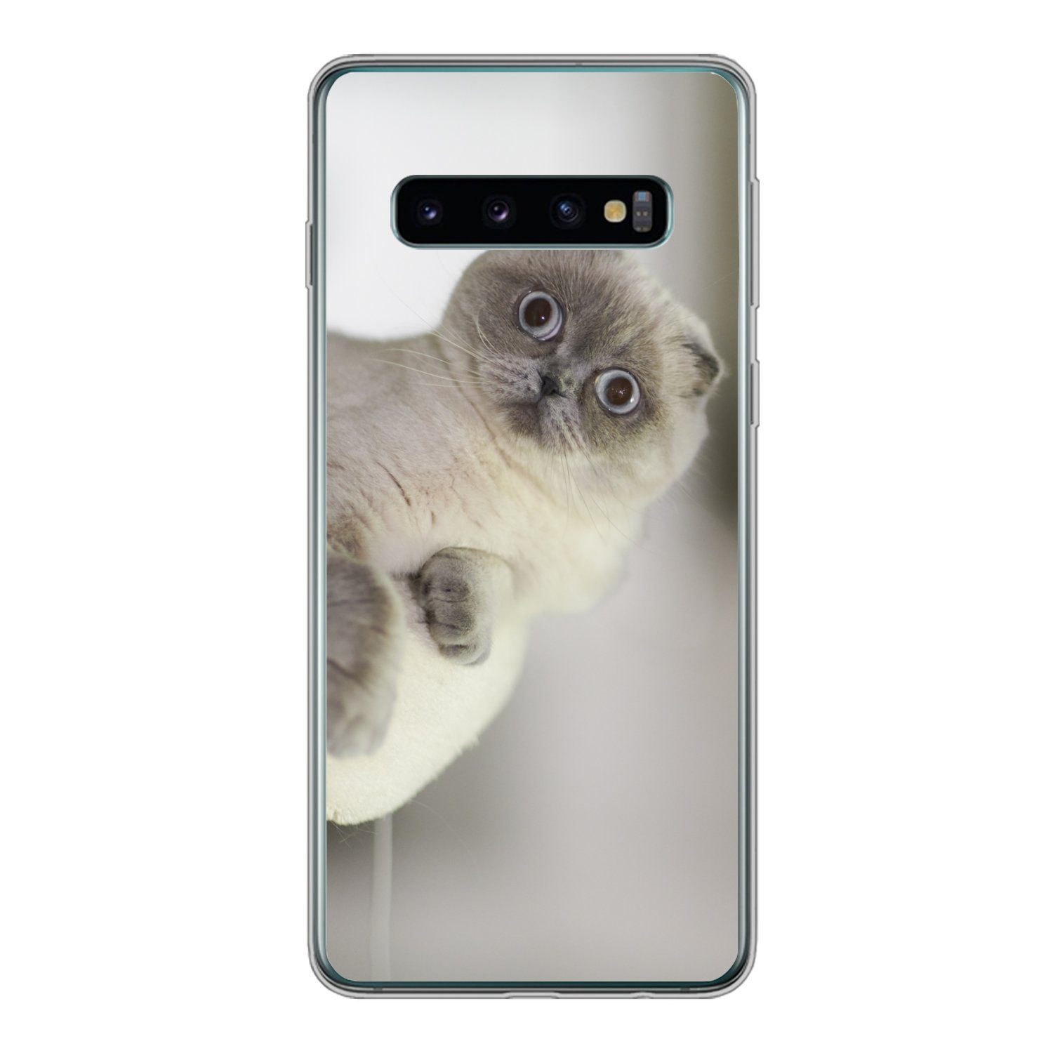 Handyhülle für Samsung Galaxy S10 Katze - Tier - Wohnzimmer