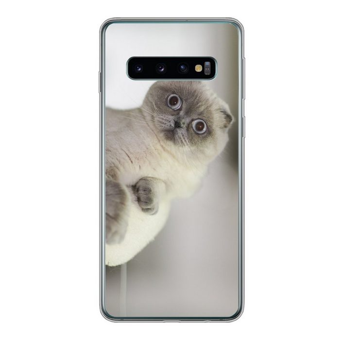 MuchoWow Handyhülle Katze - Tier - Wohnzimmer Phone Case Handyhülle Samsung Galaxy S10 Silikon Schutzhülle