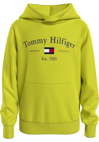 Tommy Hilfiger Sportinis megztinis su gobtuvu