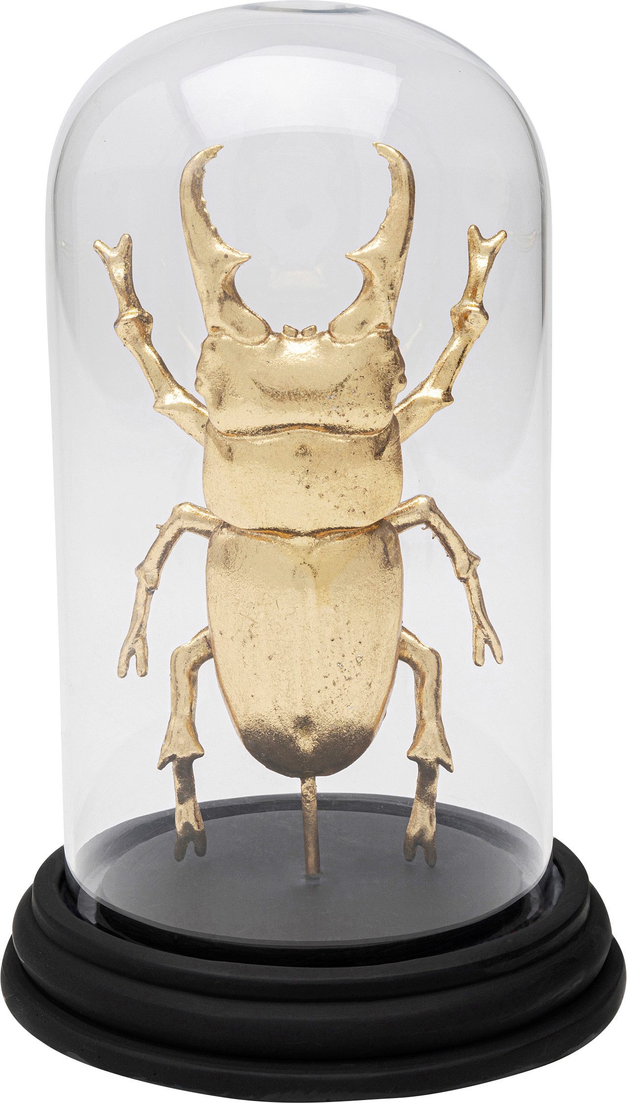 Kare Design Dekoobjekt Hercules Beetle 20cm