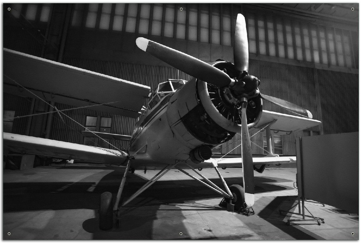 Wallario Sichtschutzzaunmatten Klassiker der Luftfahrt