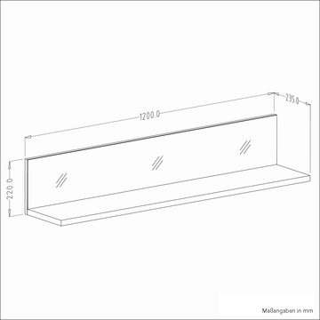 Lomadox Wandregal HOOVER-83, grau modern mit Glasfront und schwarzem Boden, B/H/T: ca. 120/22/24 cm