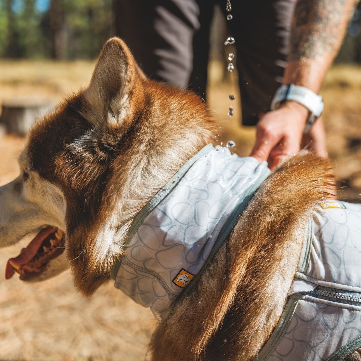 Ruffwear Tier-Halstuch Kühlhalsband Swamp Cooler Neck Gaiter Graphite Gray