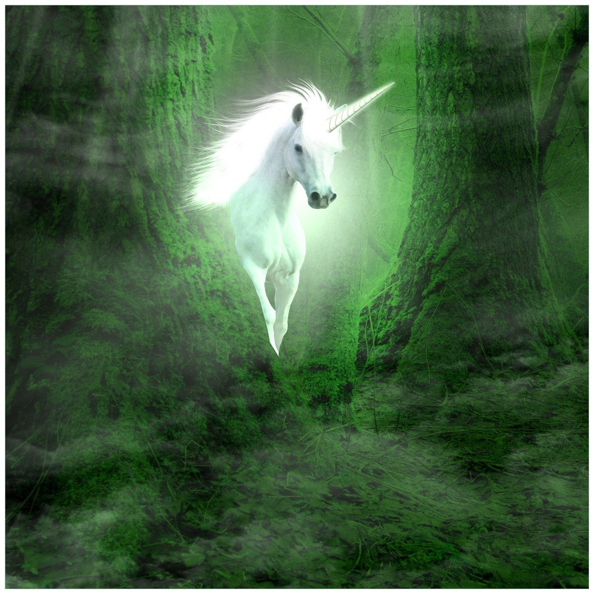 Wallario Acrylglasbild, Weißes Einhorn im grünen Wald, in verschiedenen Ausführungen