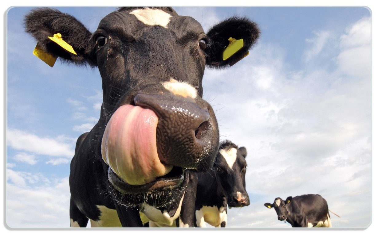 Wallario Frühstücksbrett Lustige Kuh auf der Weide mit herausgestreckter Zunge, ESG-Sicherheitsglas, (inkl. rutschfester Gummifüße 4mm, 1-St), 14x23cm | Frühstücksbrettchen