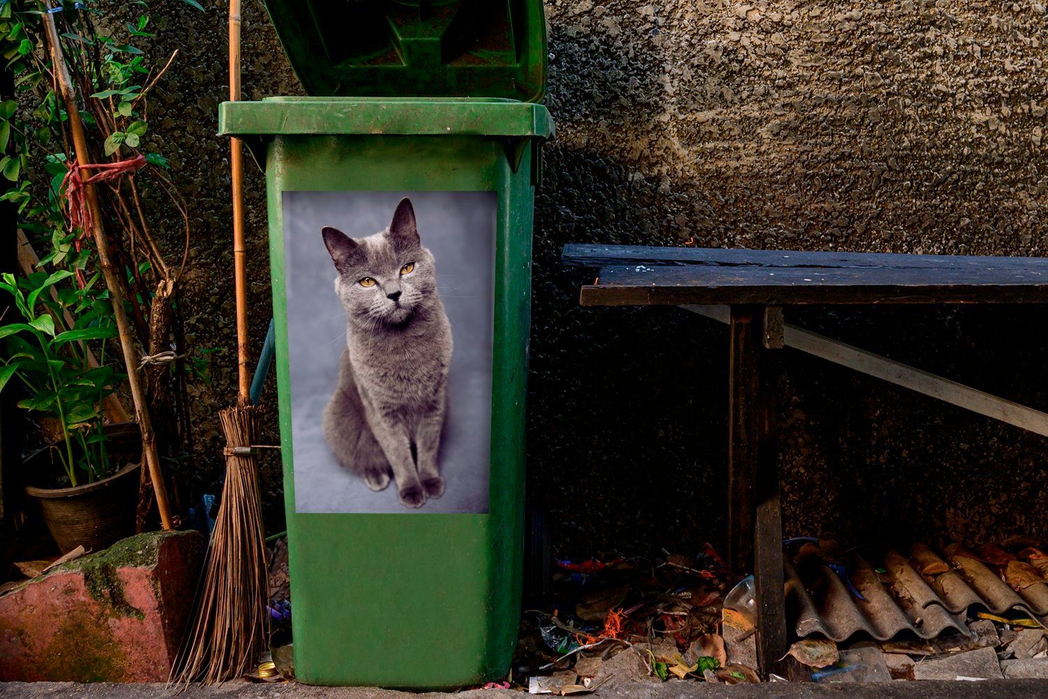 in und (1 Abfalbehälter Mülleimer-aufkleber, MuchoWow Sticker, schaut Britisch Wandsticker Mülltonne, die sitzt St), Kamera Kurzhaar Container,