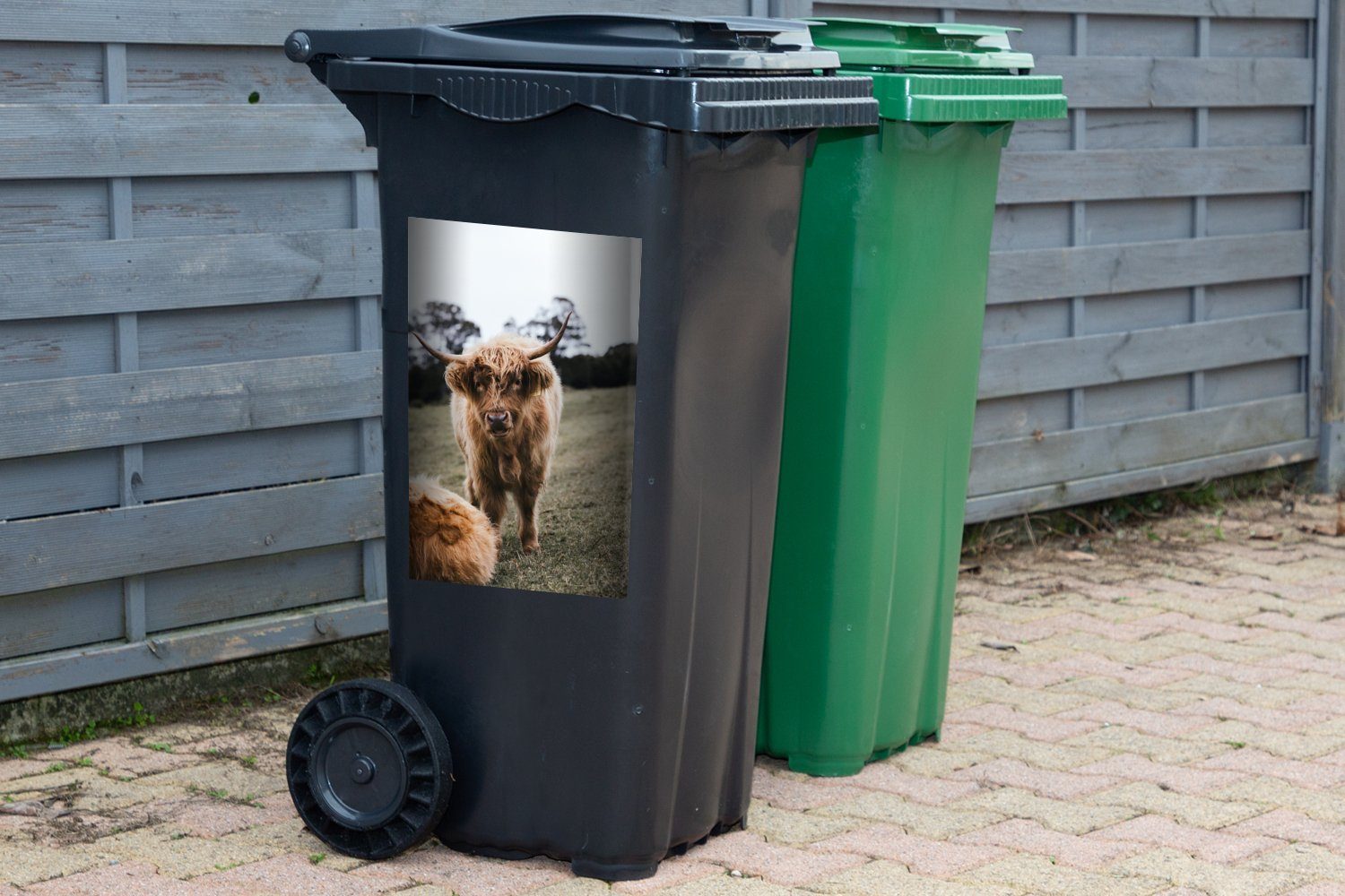 Nutztiere Container, - MuchoWow (1 Mülltonne, Highlander St), Abfalbehälter - Sticker, Gras Mülleimer-aufkleber, Scottish Wandsticker