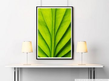 Sinus Art Poster Naturfotografie 60x90cm Poster Grünes Blatt mit Linien