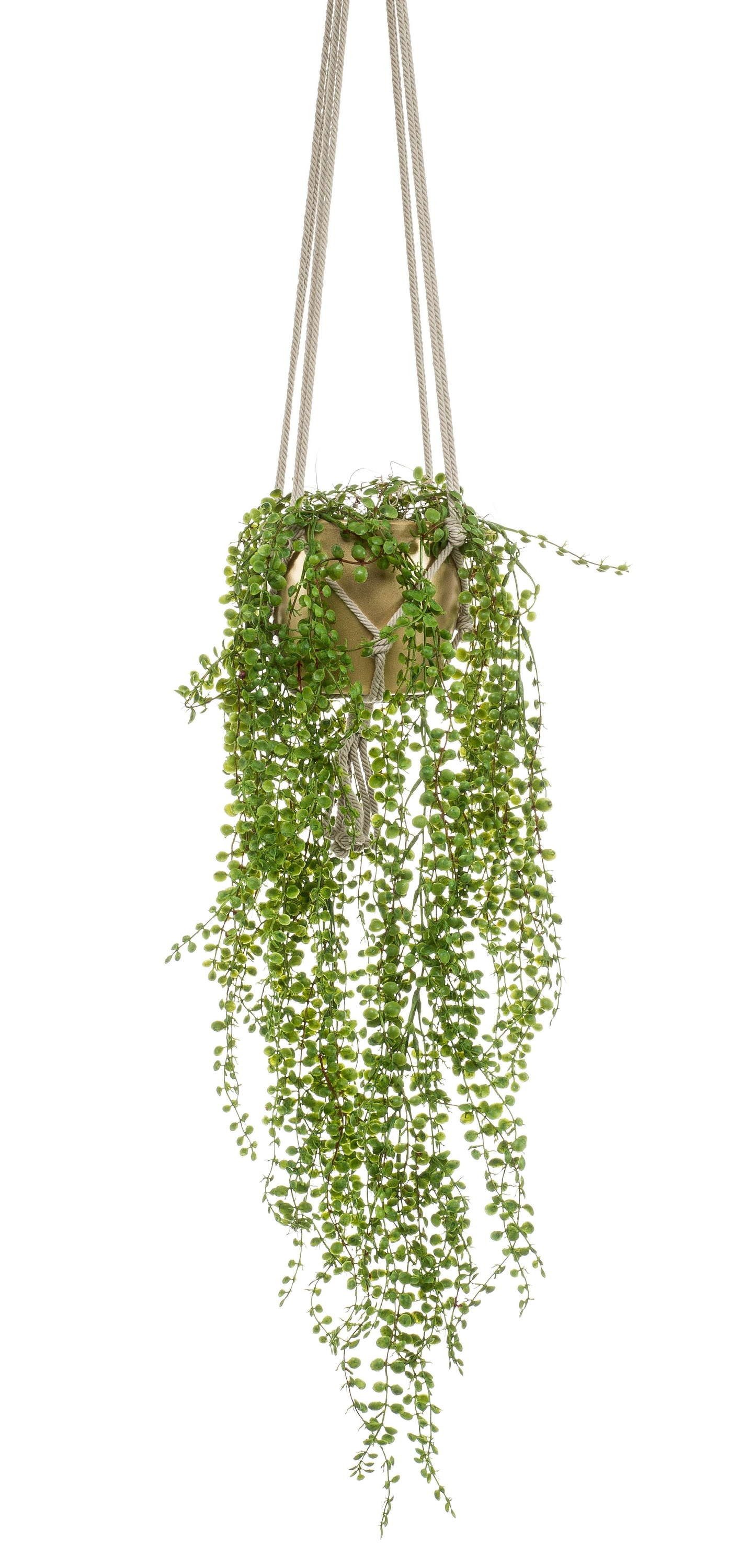 Künstliche Zimmerpflanze Kunst Kletterfeige Blumenampel Amador, Keramiktopf Gold, grün, 100cm Ficus (Kletterfeige), artplants, Höhe 100.0 cm
