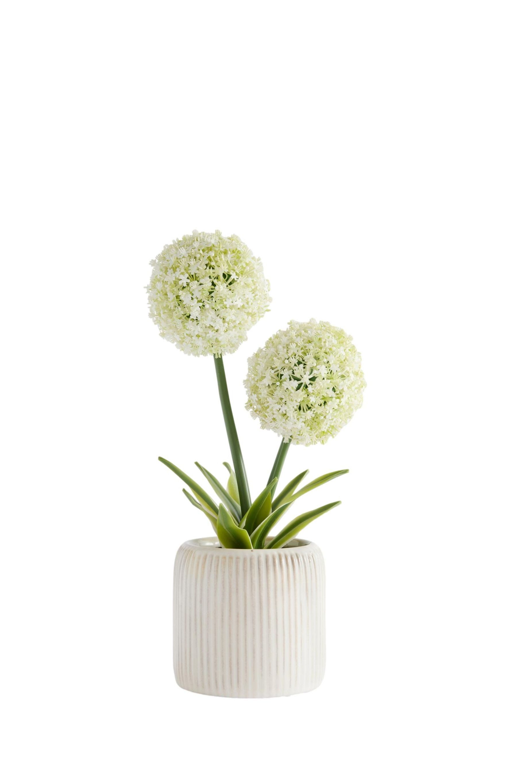 Künstliche Zimmerpflanze Große künstliche Allium-Pflanze
