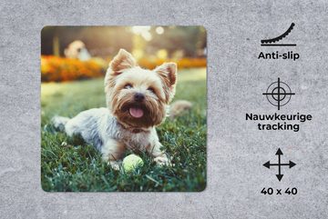 MuchoWow Gaming Mauspad Yorkshire Terrier im Gras liegend (1-St), Mousepad mit Rutschfester Unterseite, Gaming, 40x40 cm, XXL, Großes
