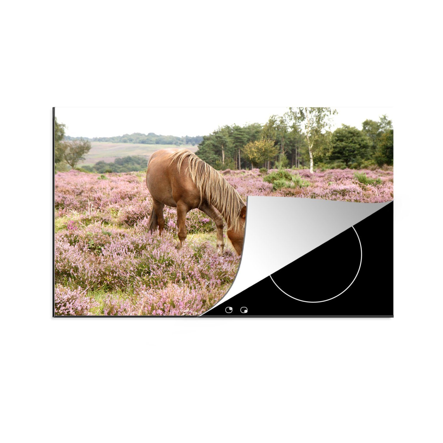 MuchoWow Herdblende-/Abdeckplatte Weidendes braunes Morgan-Pferd, Vinyl, (1 tlg), 81x52 cm, Induktionskochfeld Schutz für die küche, Ceranfeldabdeckung