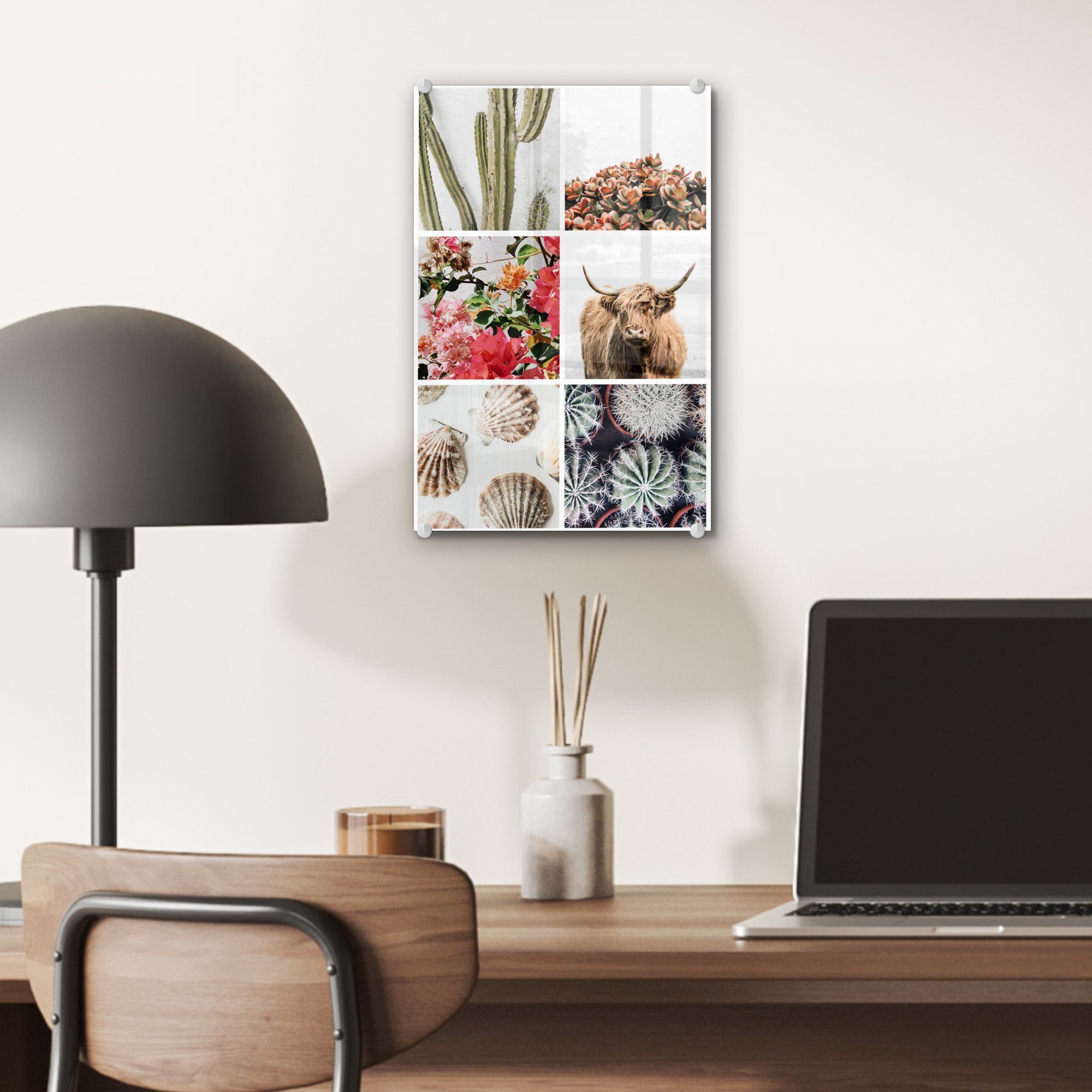 MuchoWow Acrylglasbild Schottischer Highlander - Collage Foto - Blumen Wanddekoration Glasbilder - St), Wandbild Glas - Glas - auf Bilder Kaktus, auf (1 