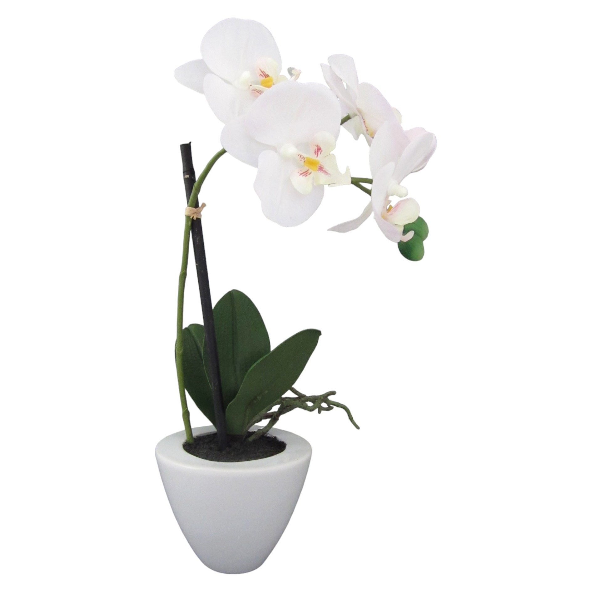 Kunstorchidee Kunstblume Phalaenopsis. Orchidee im Keramiktopf. ca 36cm, Gasper, Höhe 36.00 cm
